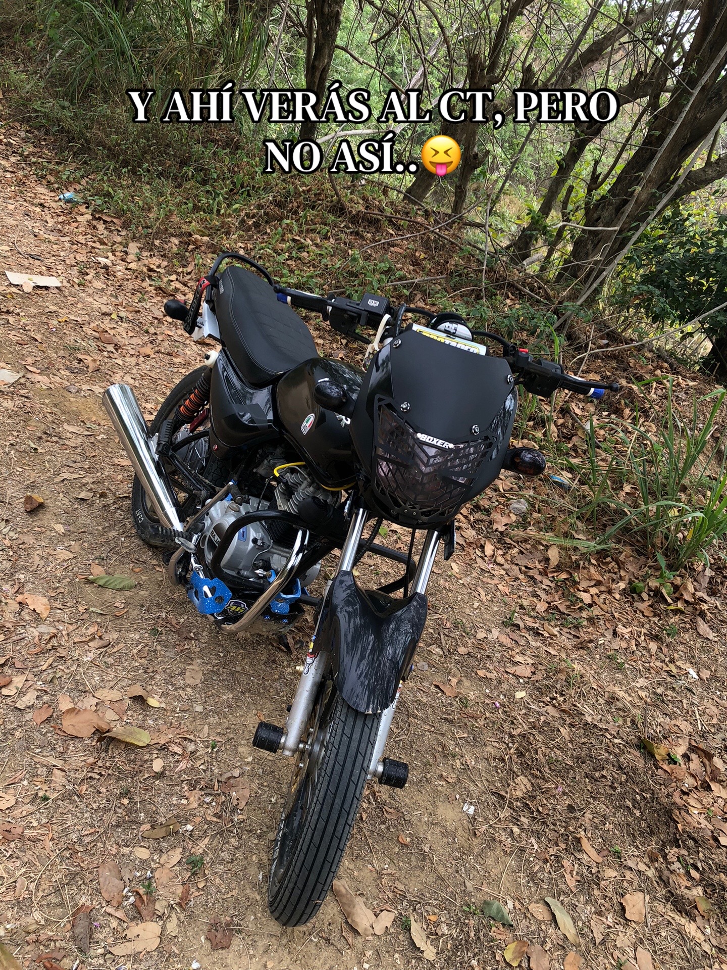 @🥷🏻BIKELIFE🏄🏻♂️
