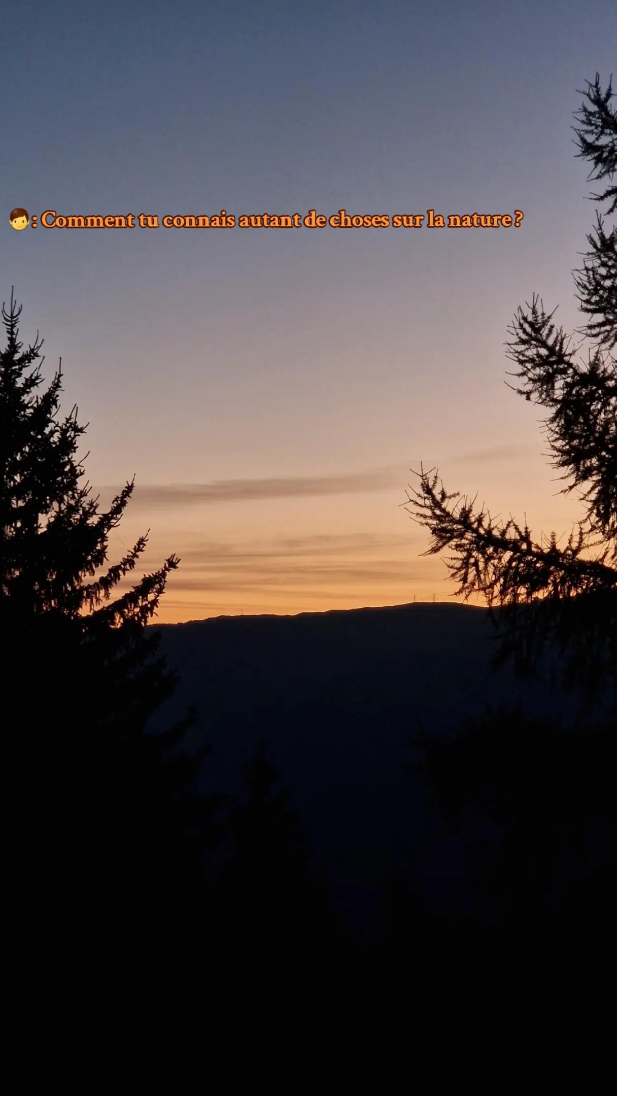 @Chasseur Montagnard