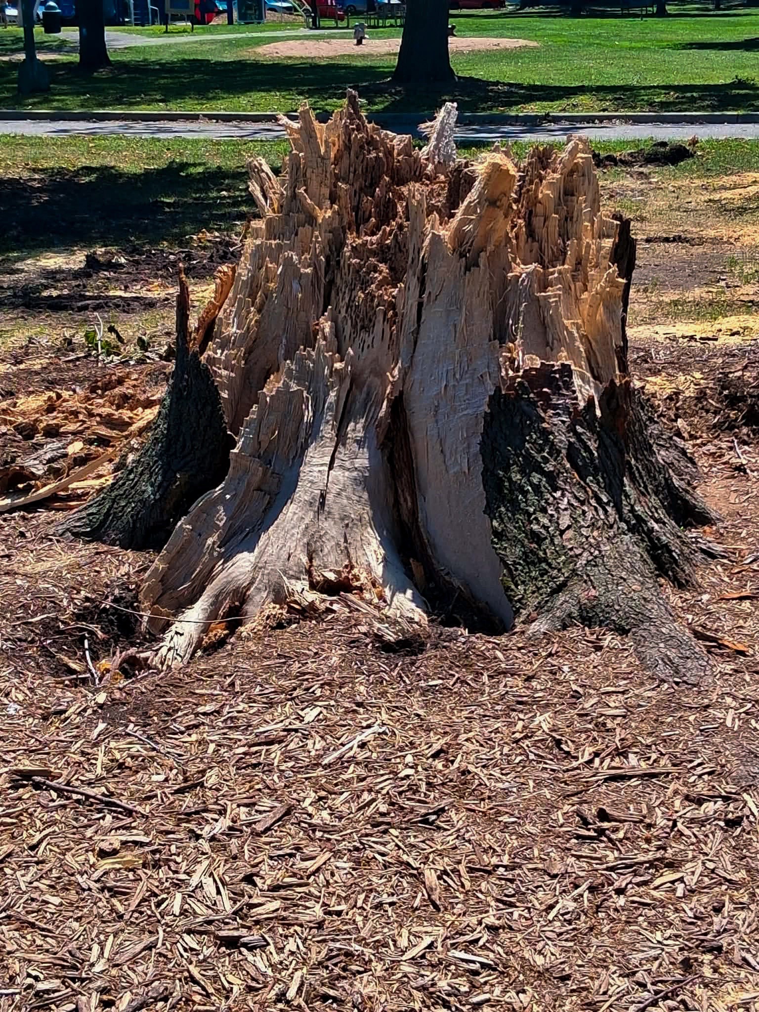 @ElderBarry The 🏕Fort
