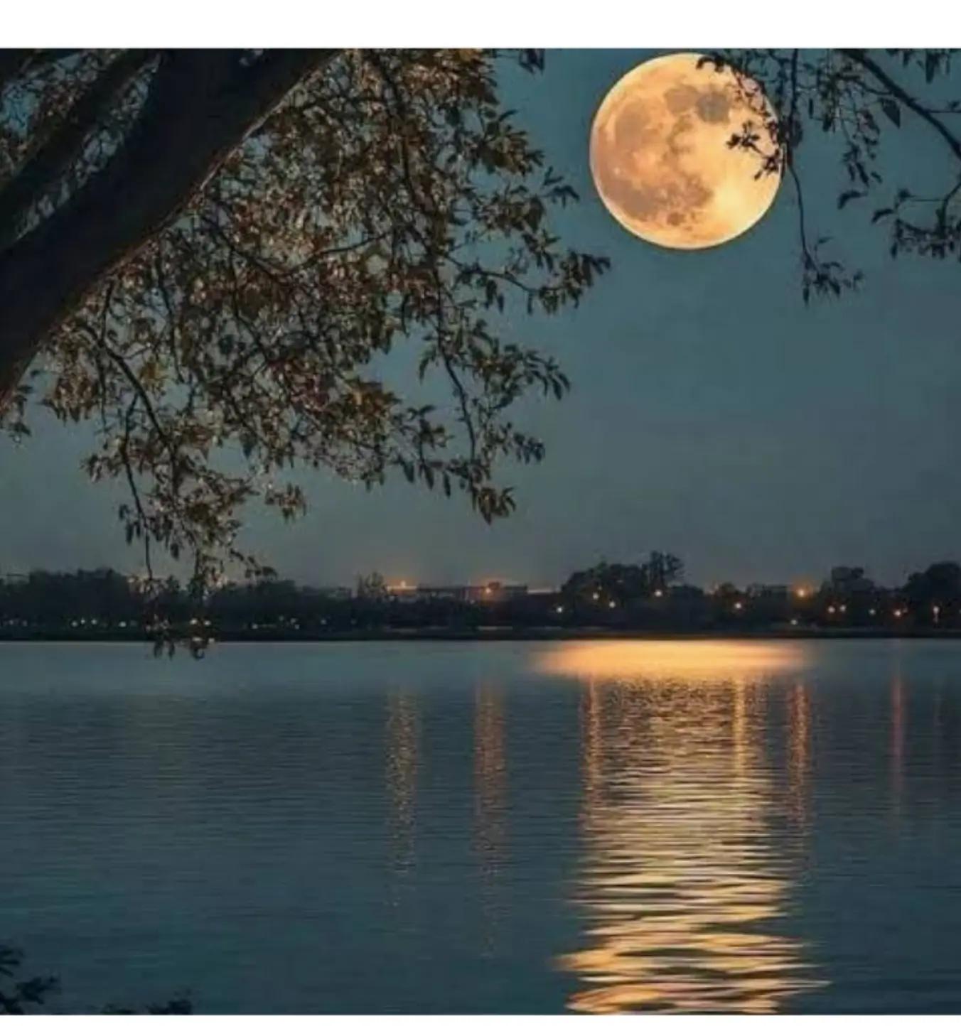 @پنجابی کُڑی