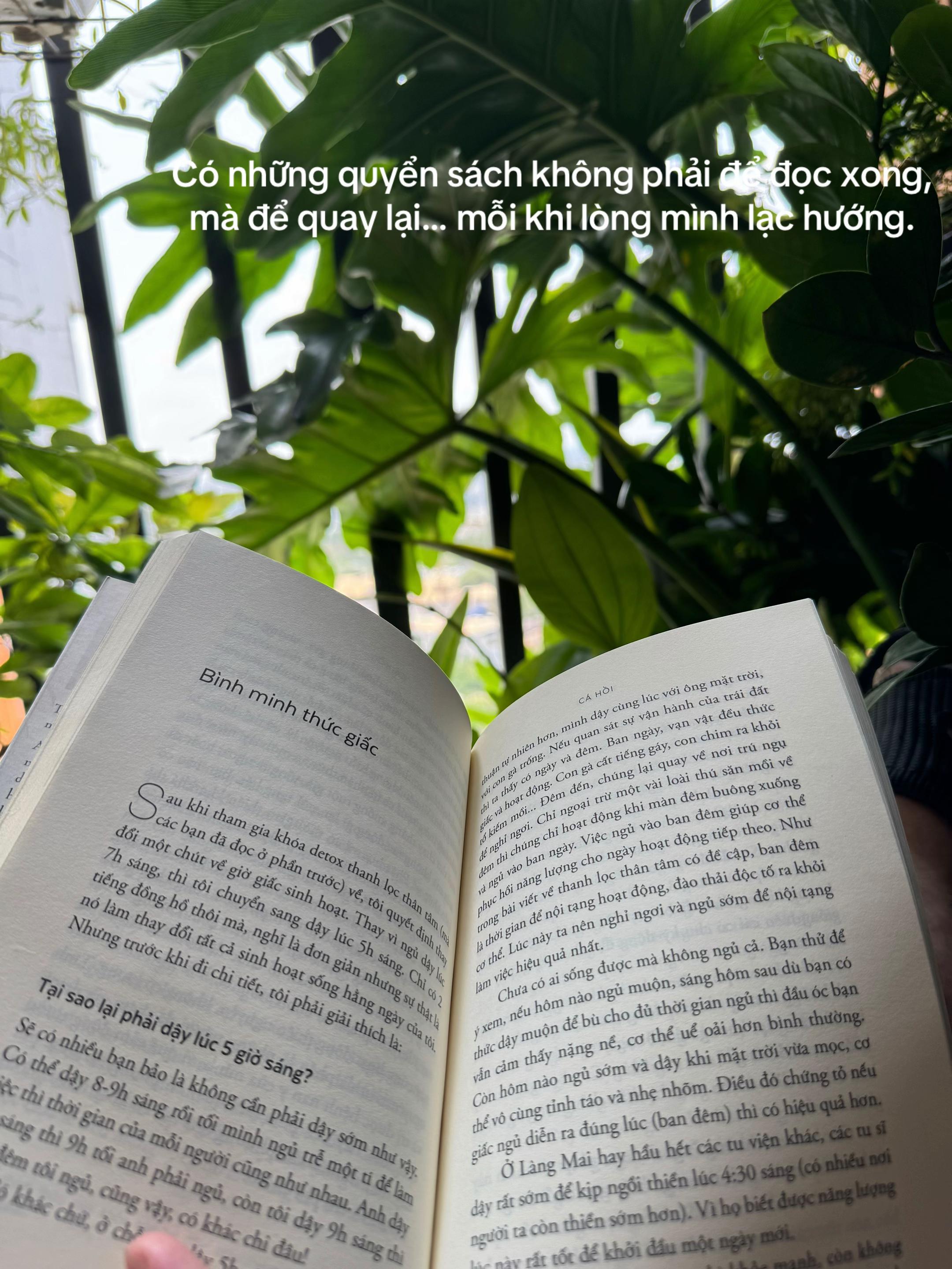 @Duy N&egrave; đ&atilde; chặn bạn