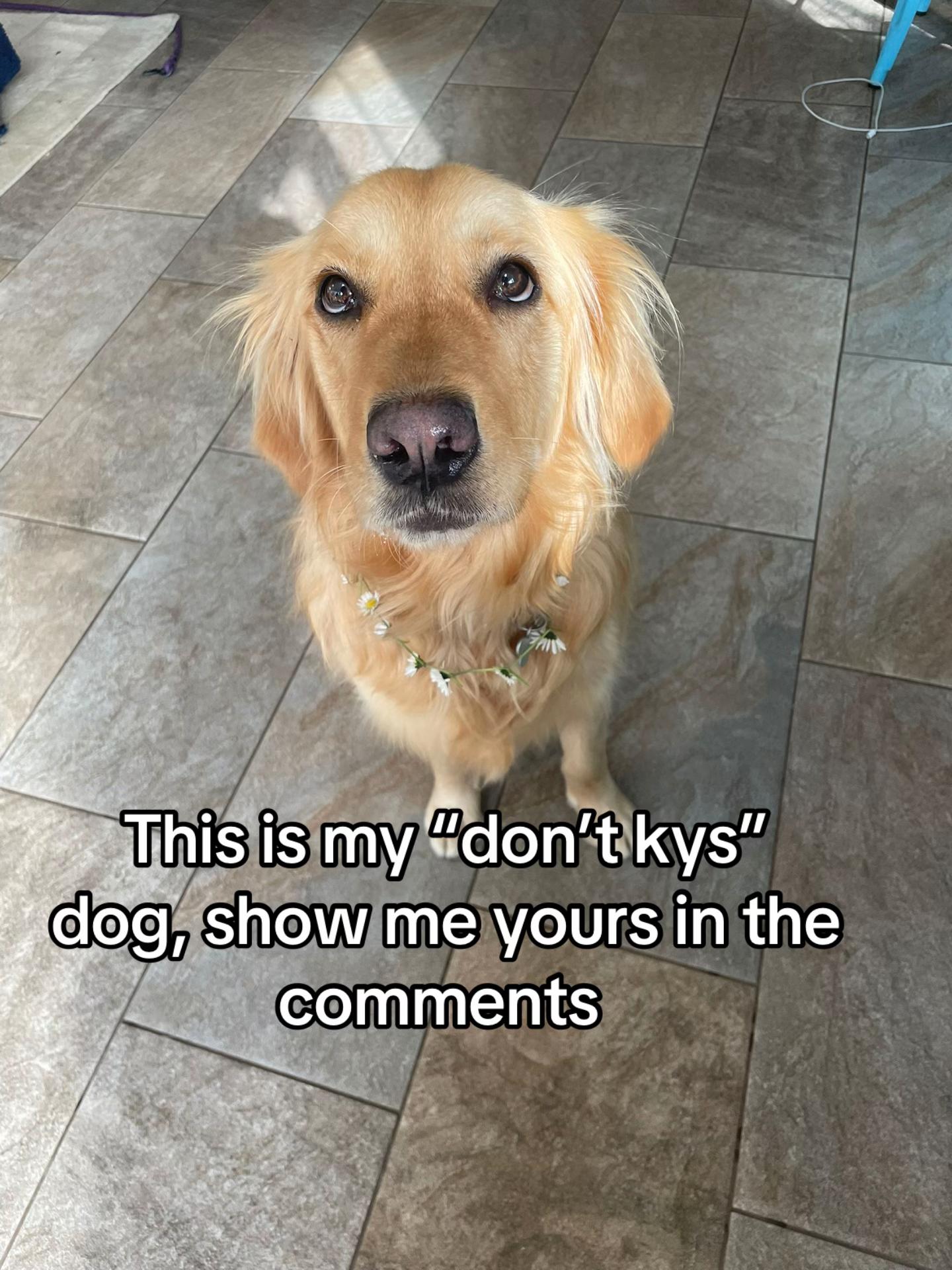 @talkstoomuch_girl