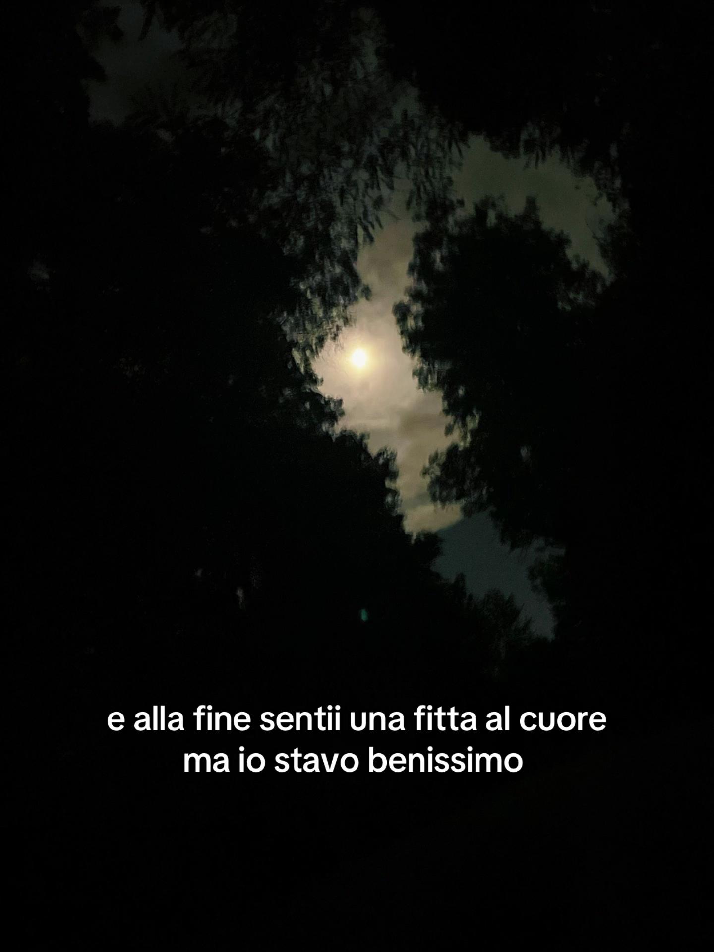 @🦕❤️🔗