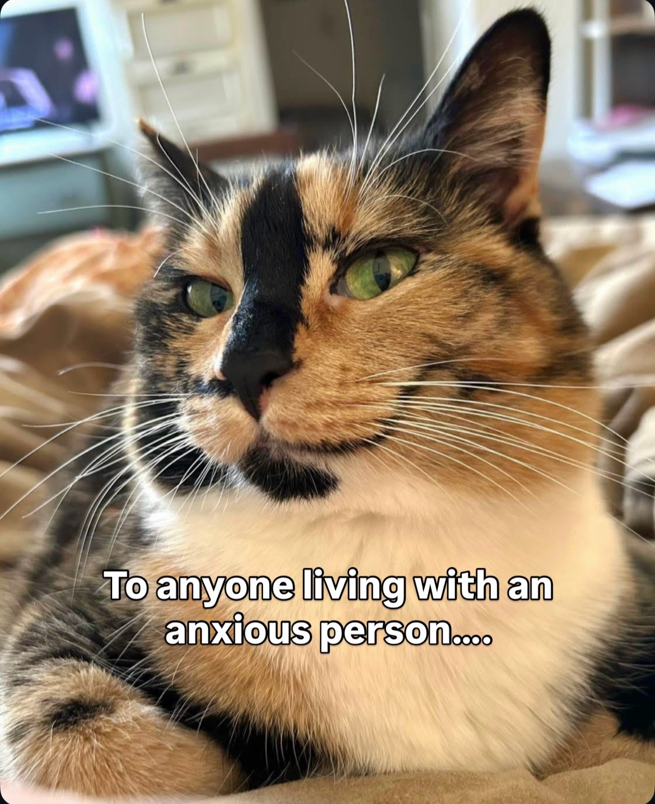 @SnickersTheSmilingCat
