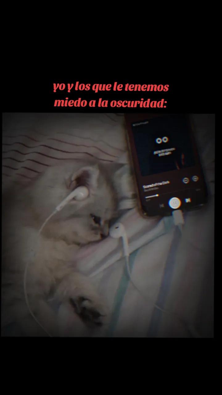 @JUST