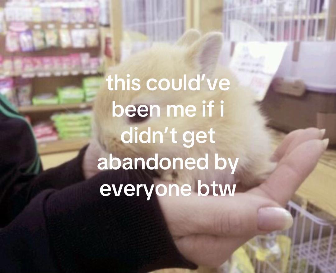@liar