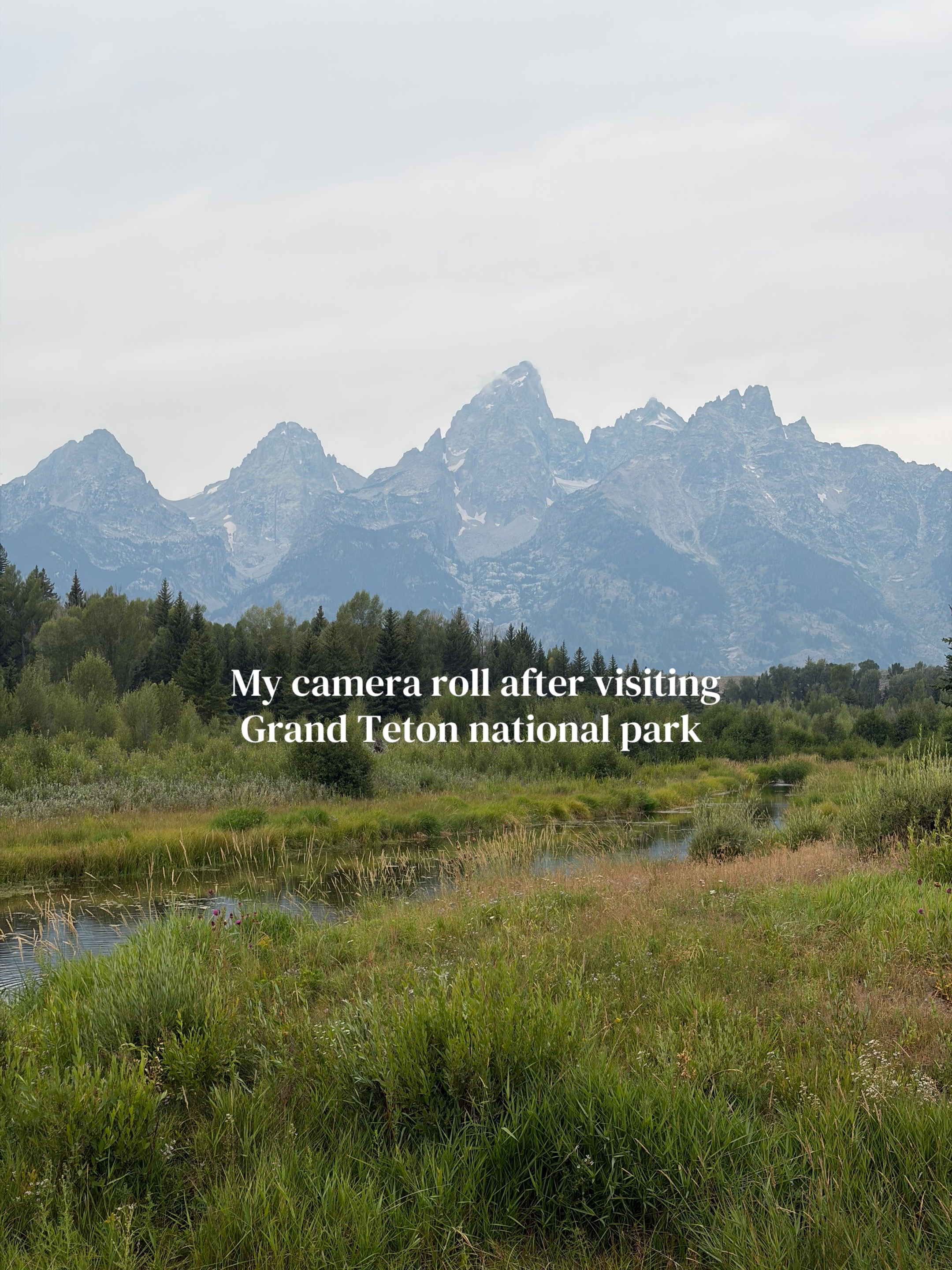 @Metro to Mountain