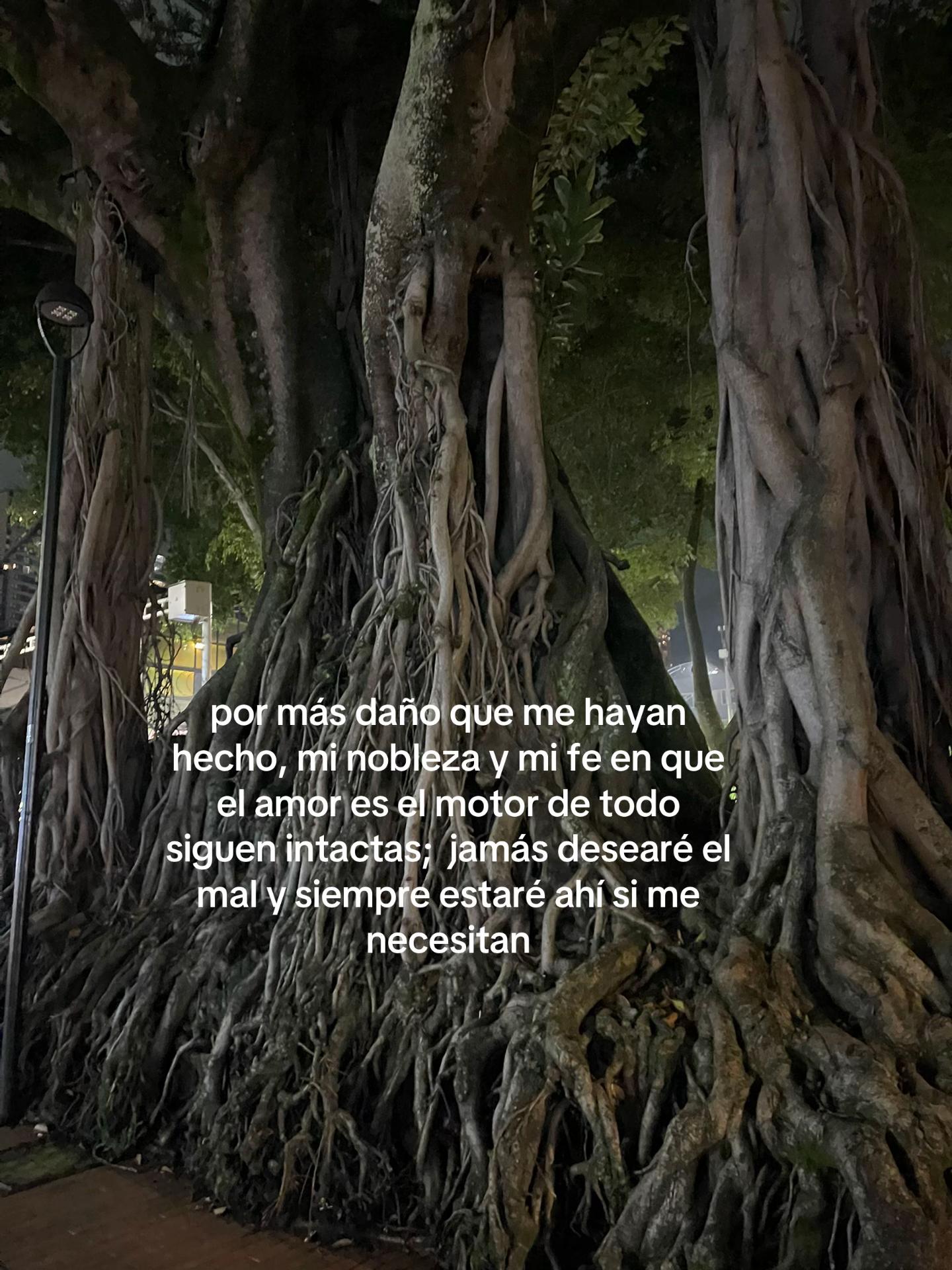 @☾