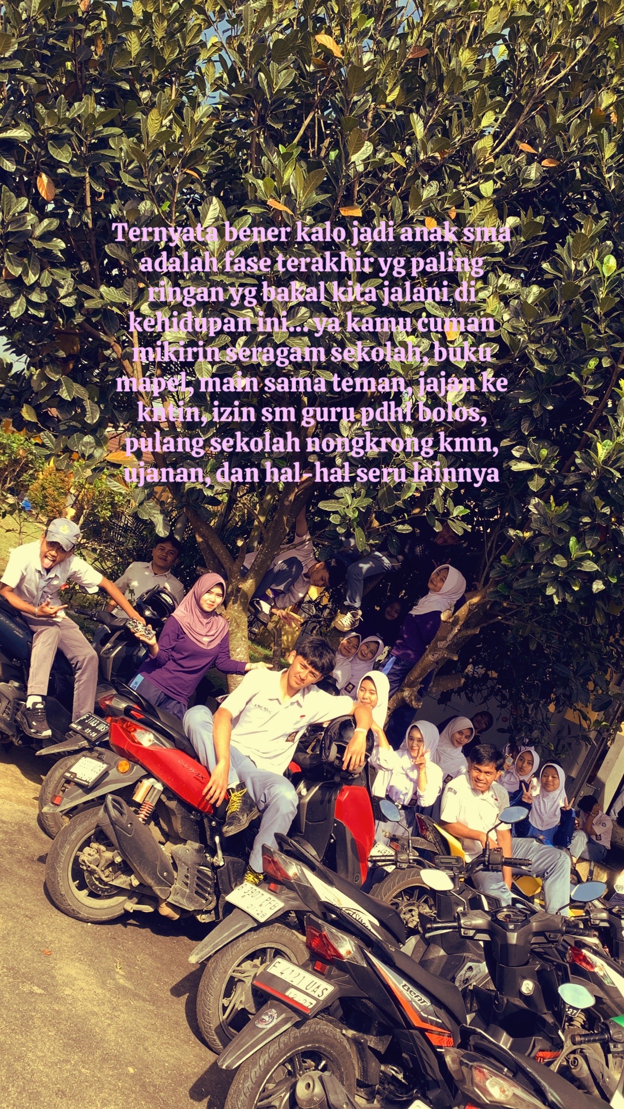@growthree.area