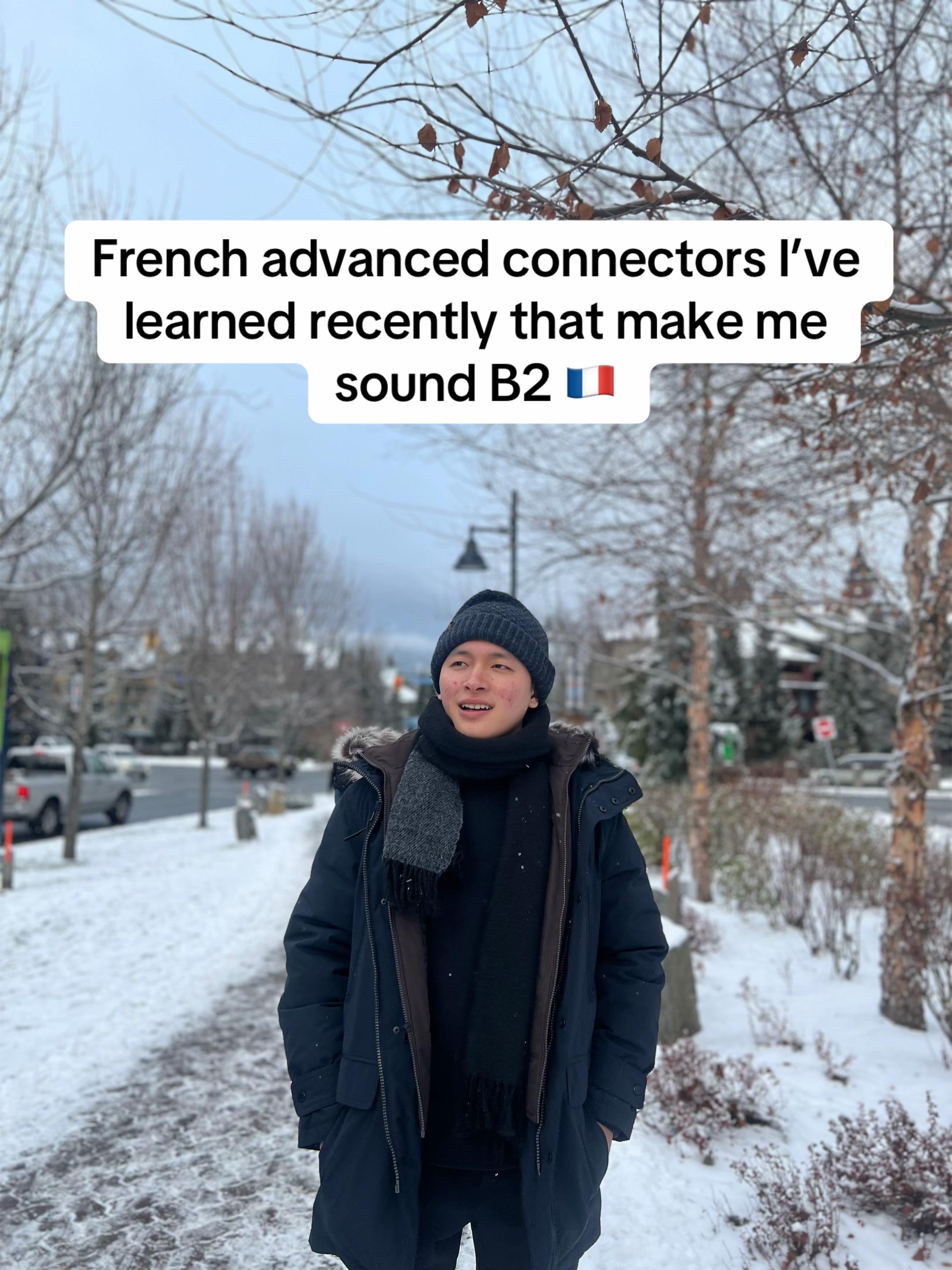@Andre | French Learner 🇫🇷