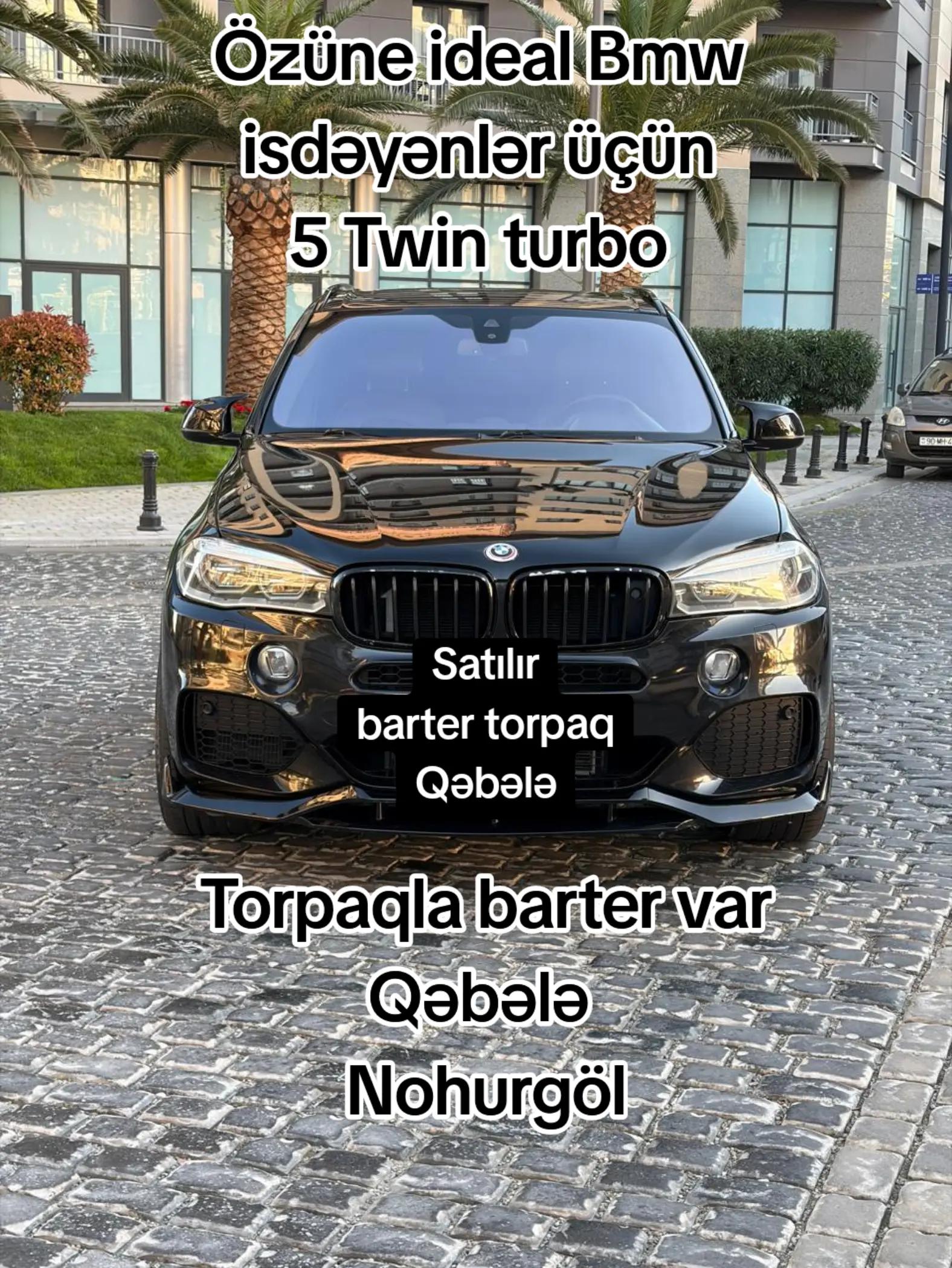 @Qəbələ Əmlak Ruzi