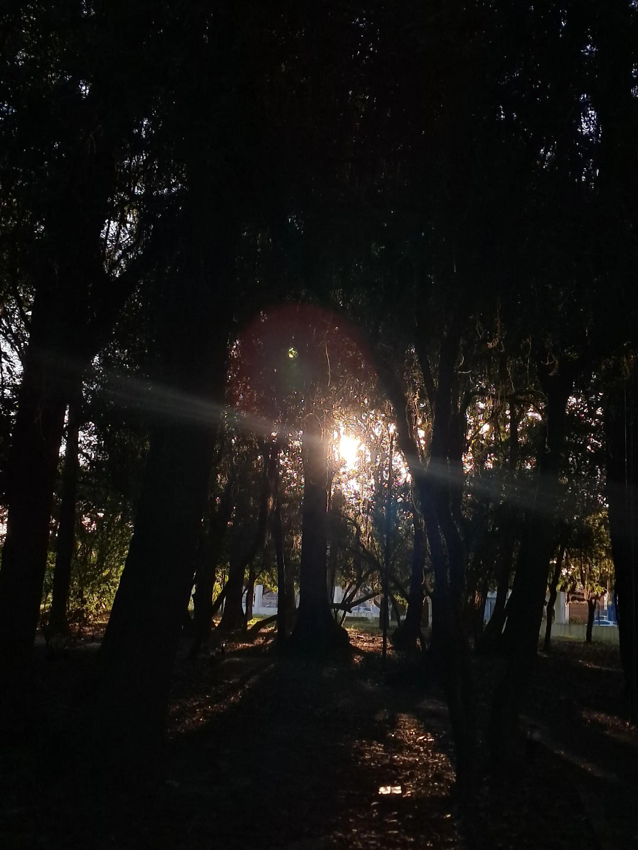 @AlexiaTakahashi