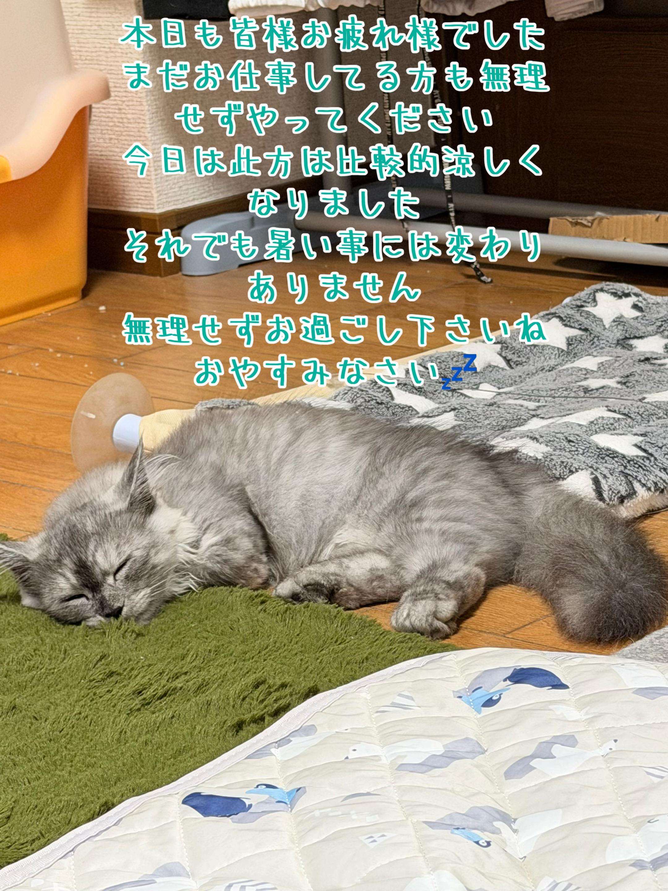 @ð¥é»æŸ€æ£å¿ð¥