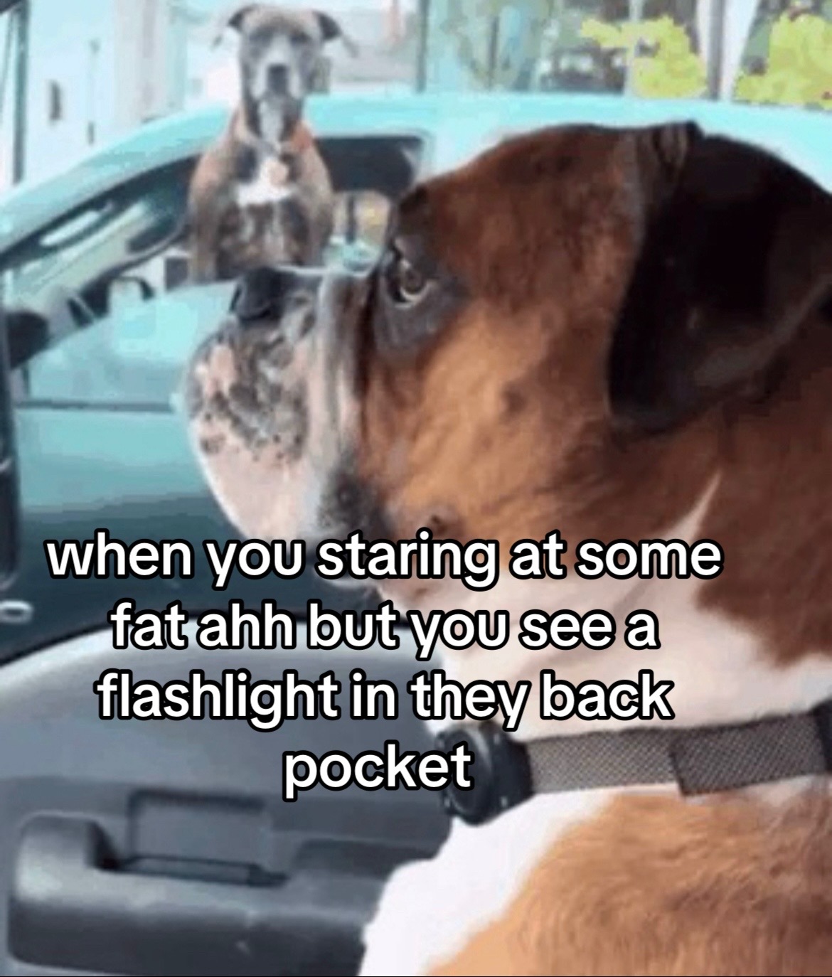 @Pleasant Park