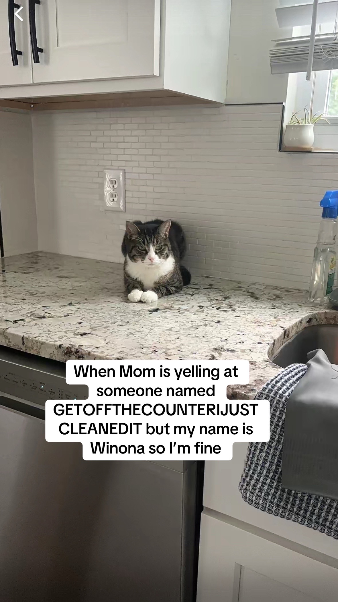 @Christina | Cat Rescue 🐾