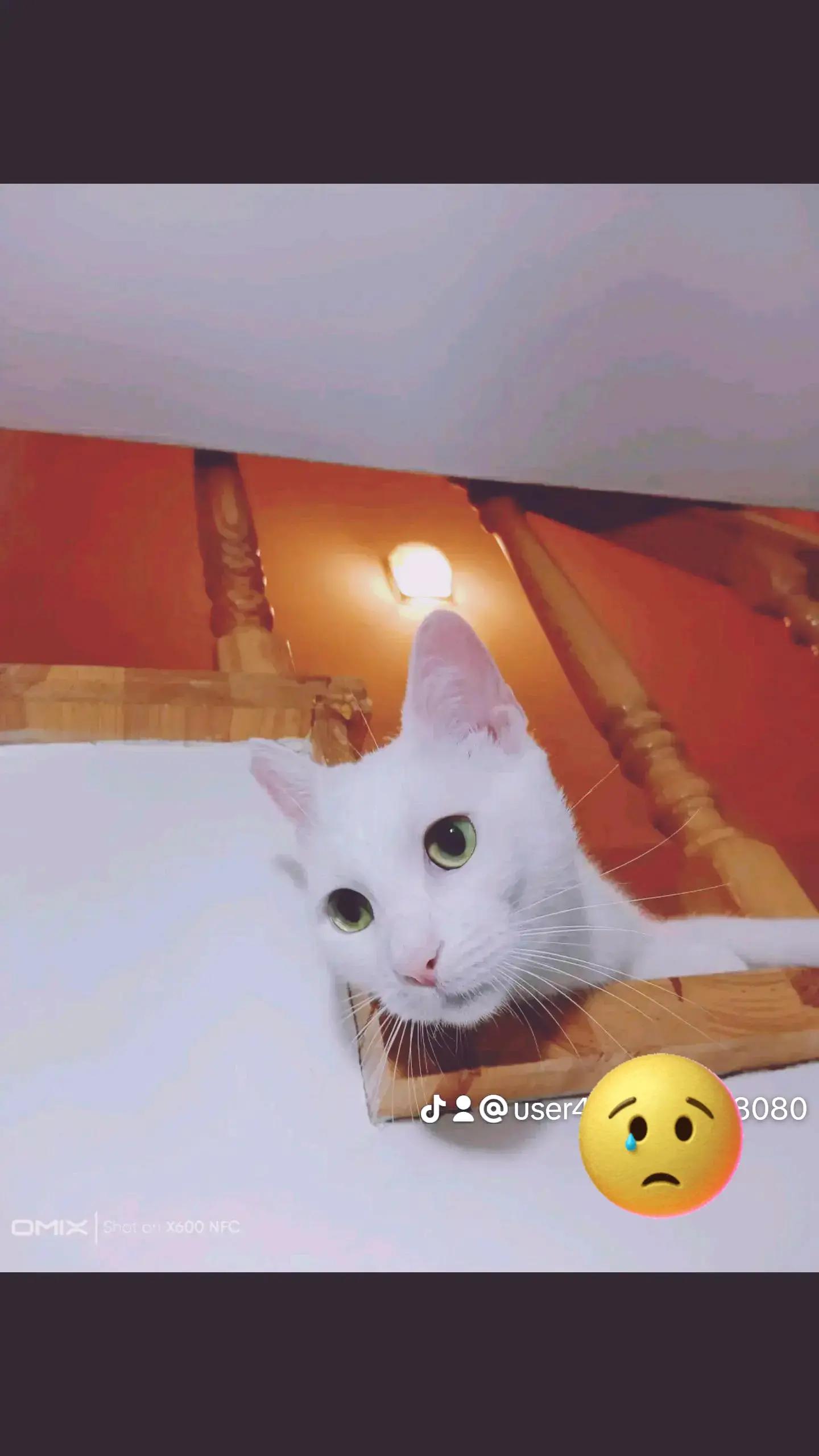 @Ali gül
