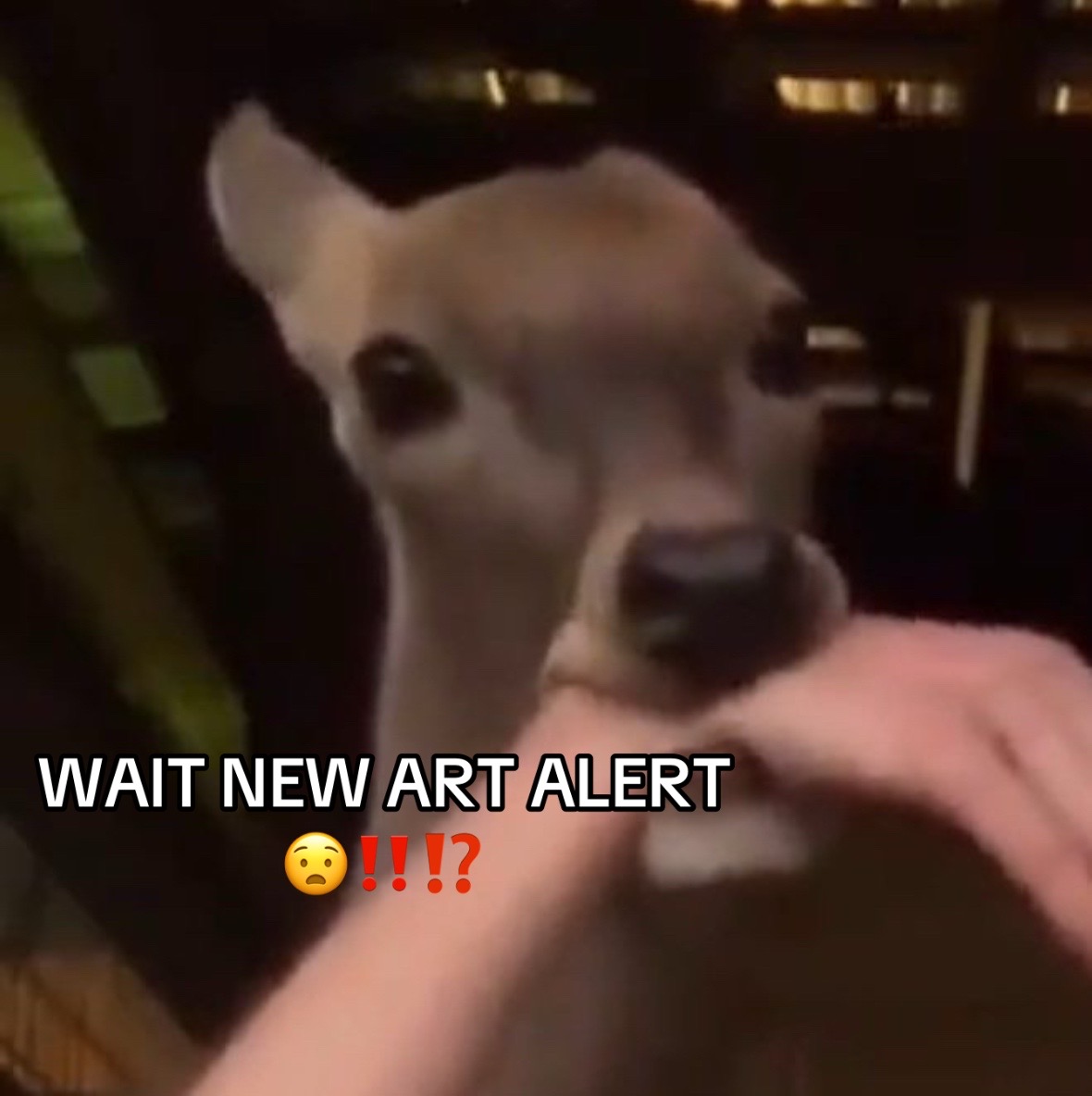 @Baylola🦌💫🪽