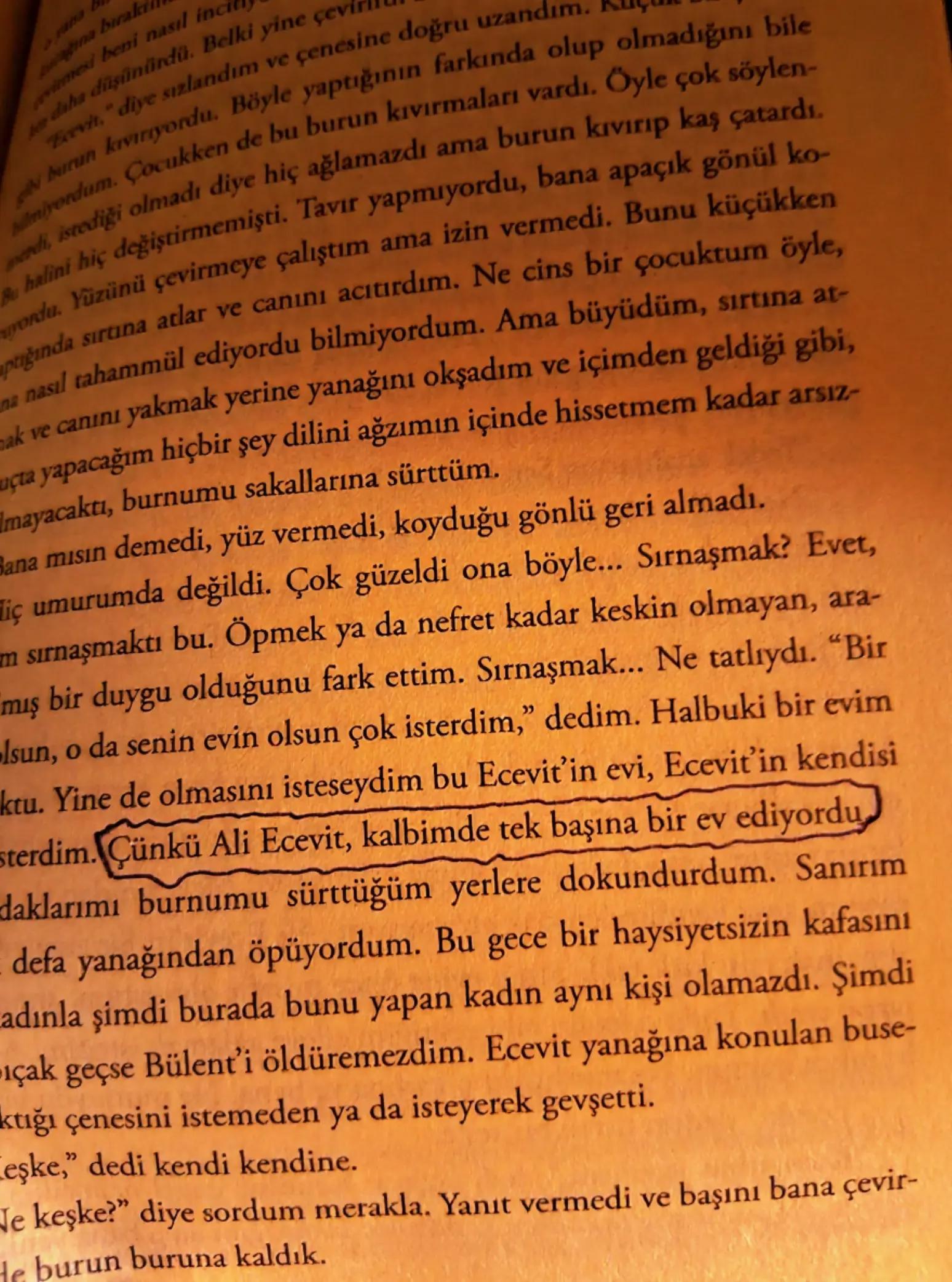 @firuzɛ⚘️