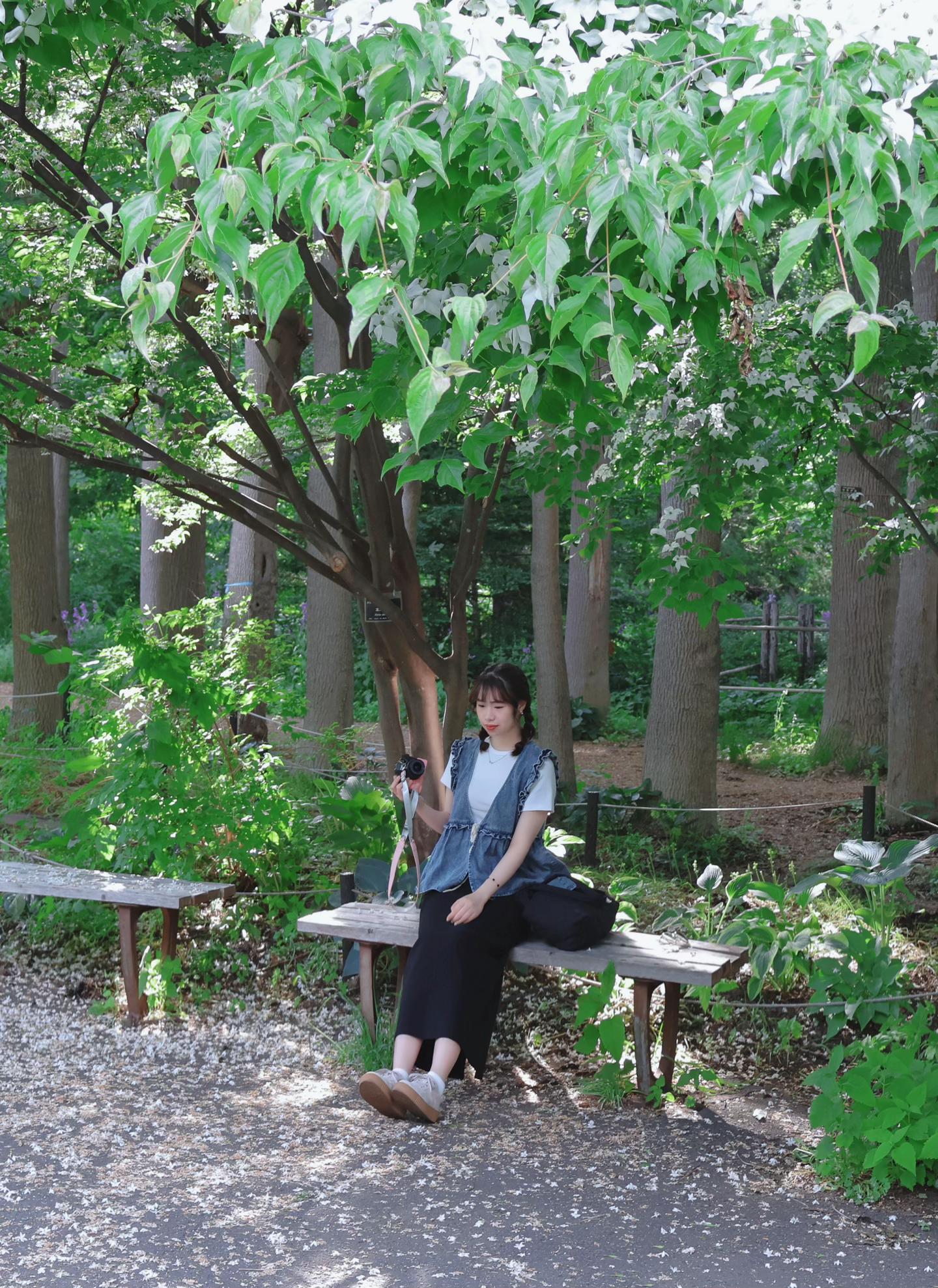 @Trin iu ✿