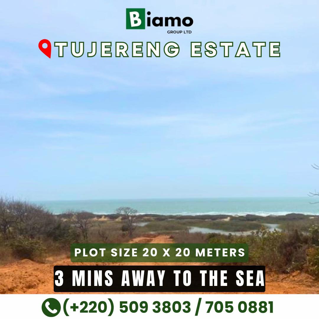 @Biamo Group Limited