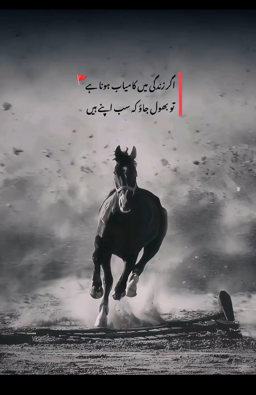 @RANA TALHA 👑