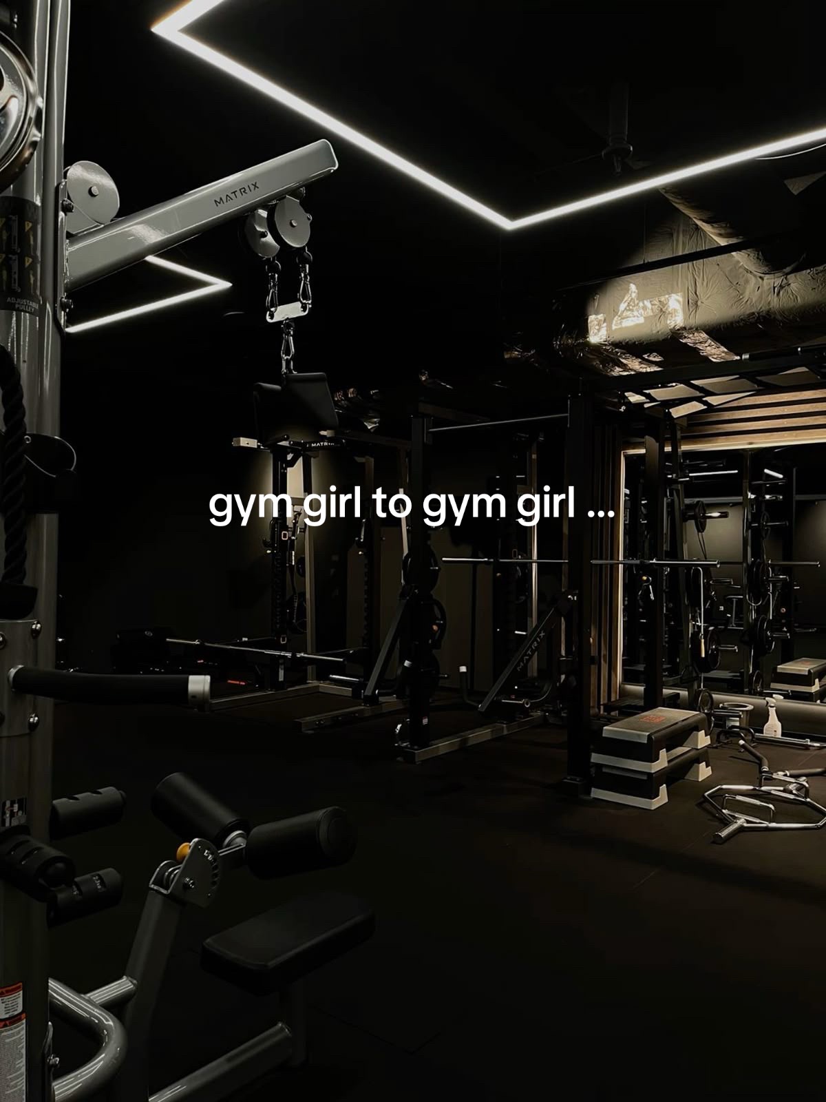 @Leemo Lifts 🍋