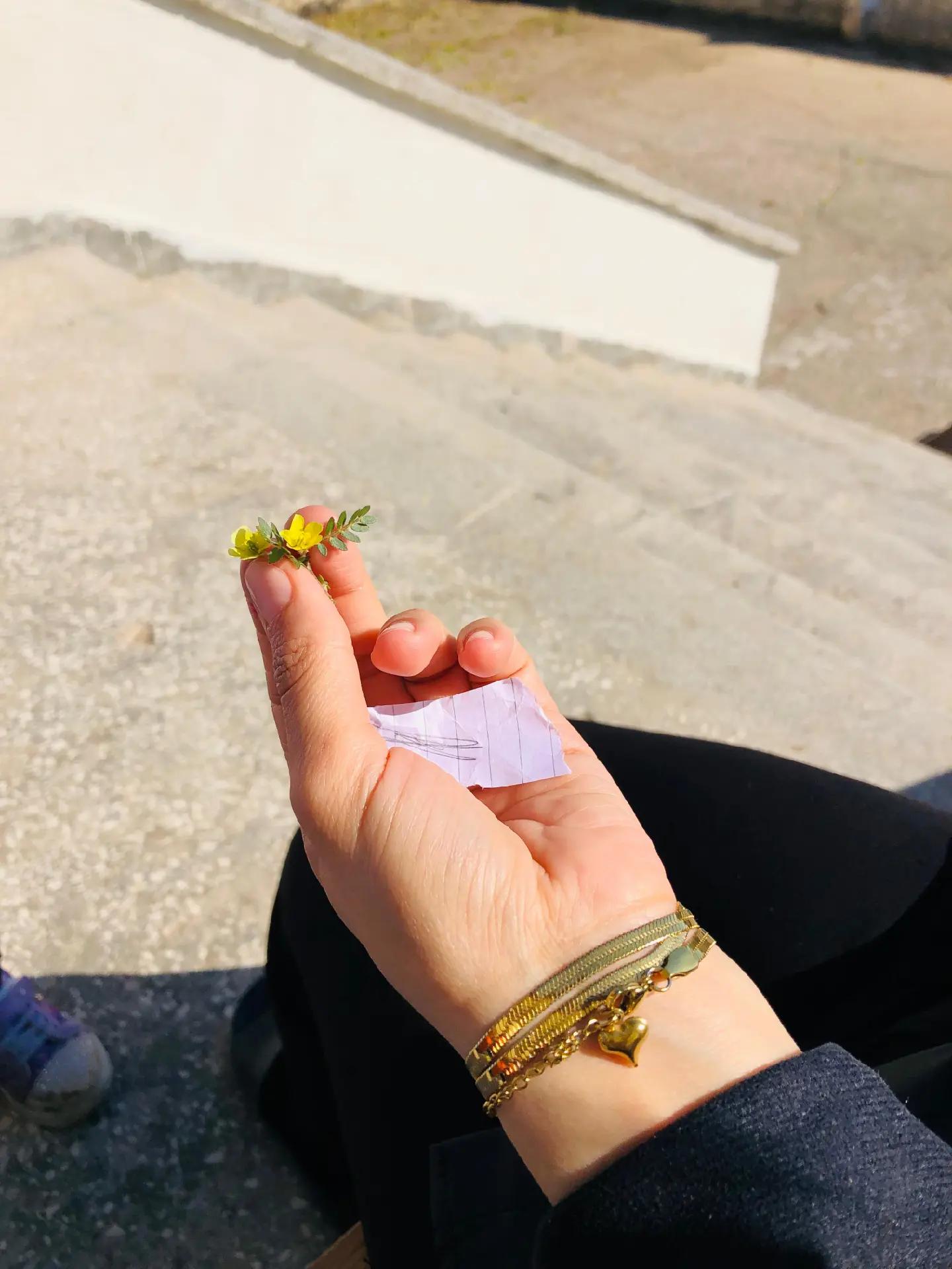 @&Ouml;ğretmenHanım🧑&zwj;🏫