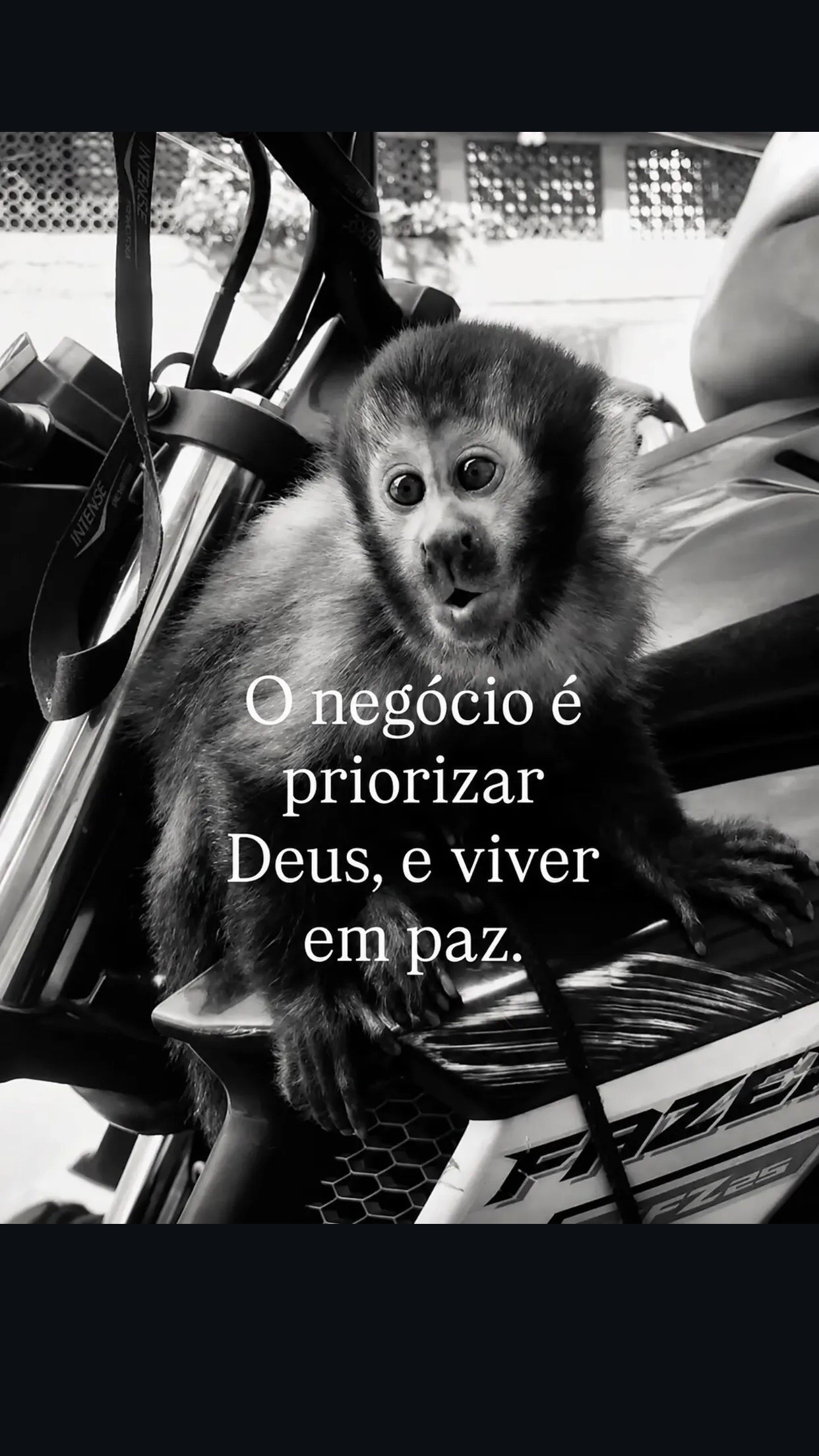 @marii