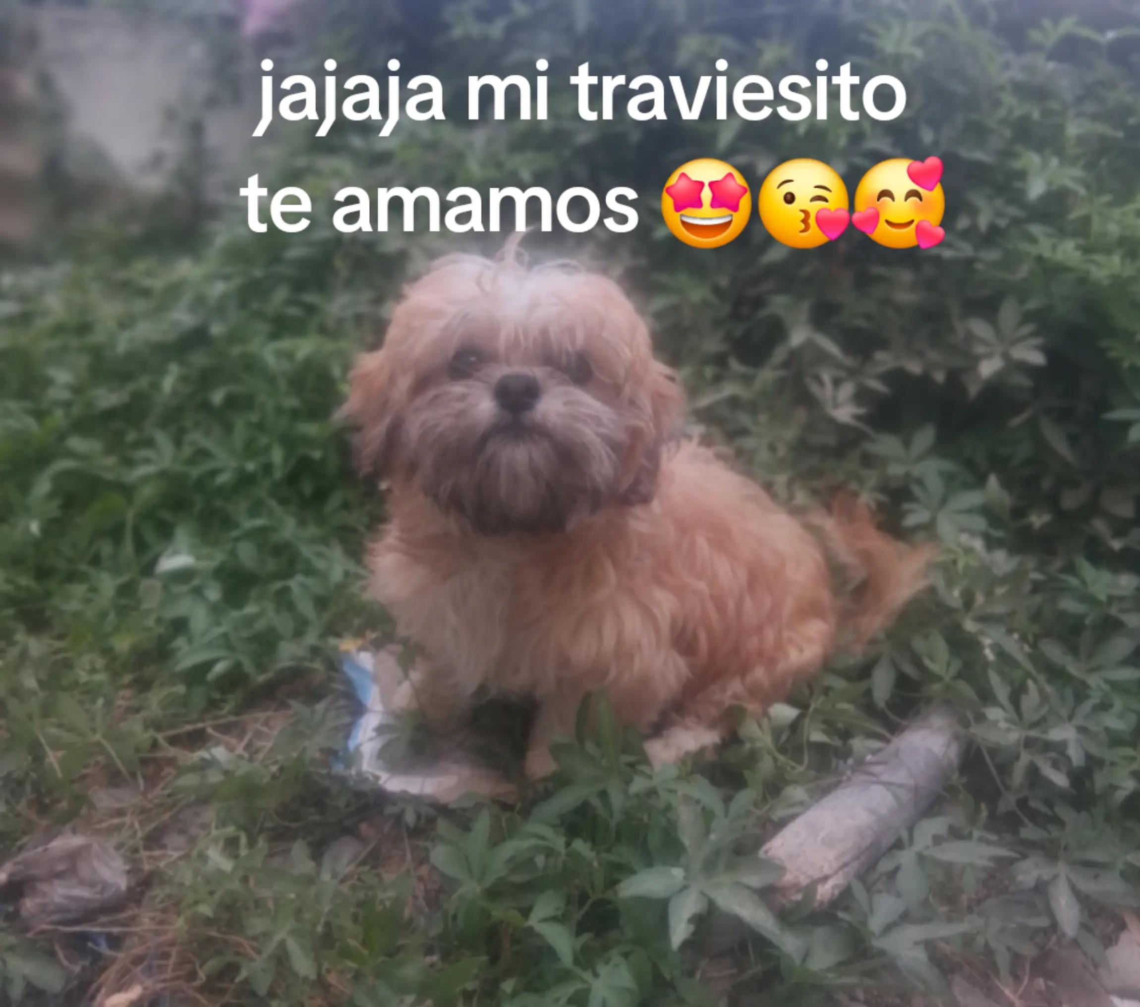 @hilda felipe🐐