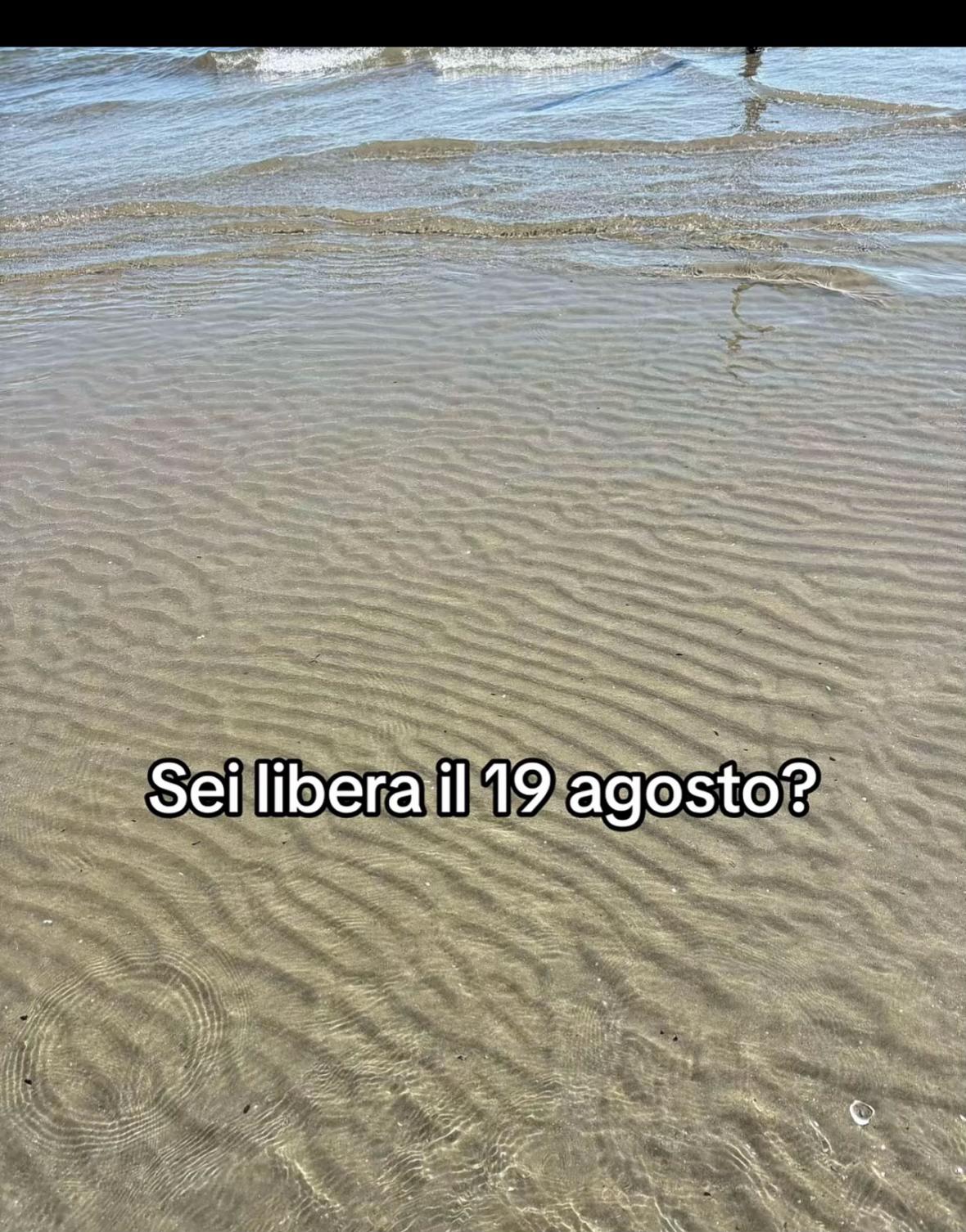 @🐳𝜗ৎ𝓑𝓵𝓸𝓸𝓶⋆.𐙚 ̊🍥