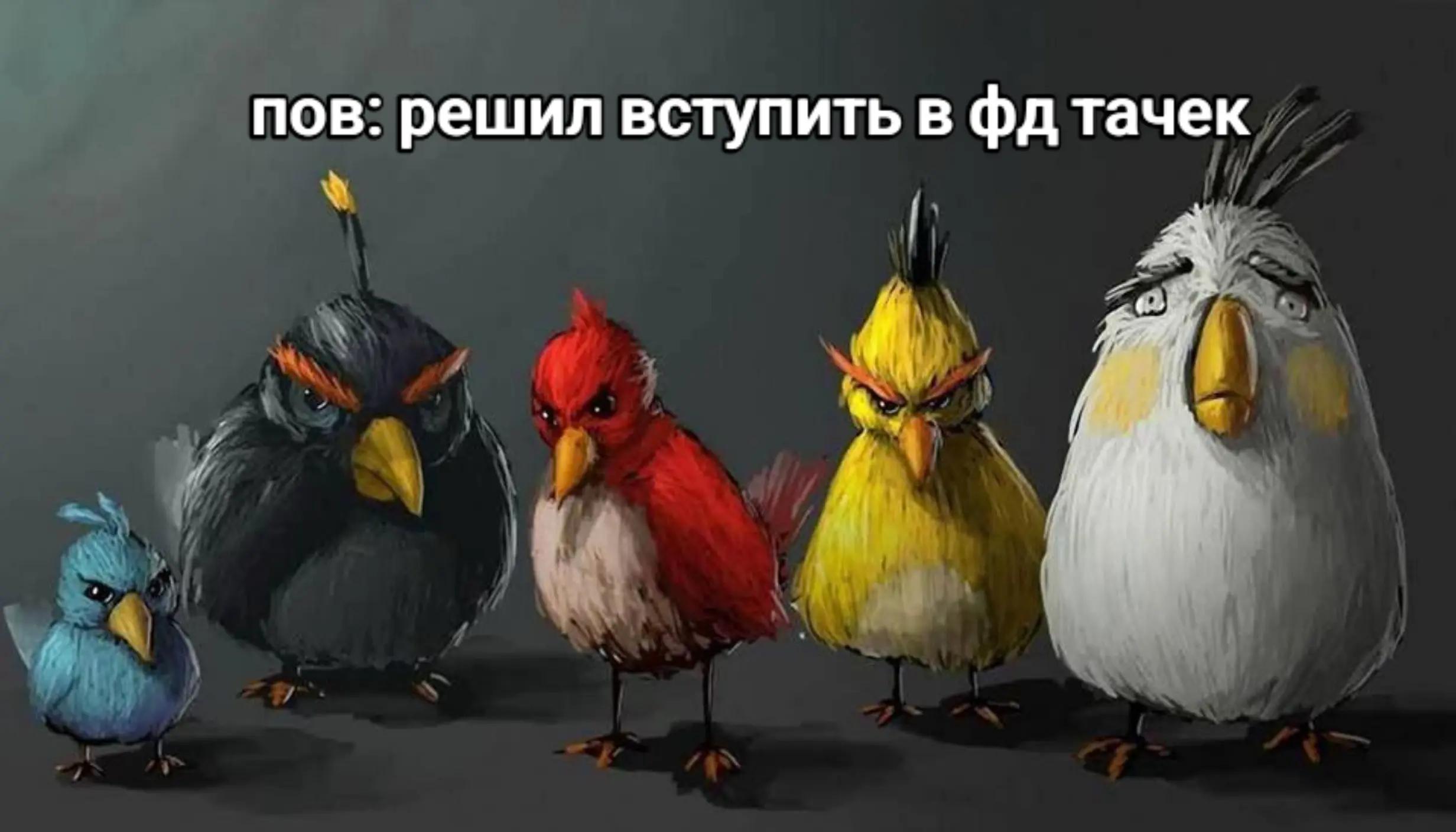 @тгк: франческо вещает