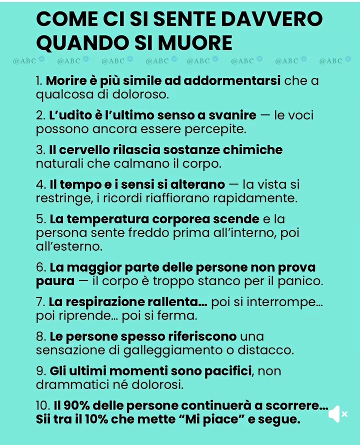 @GAETANO (Single)