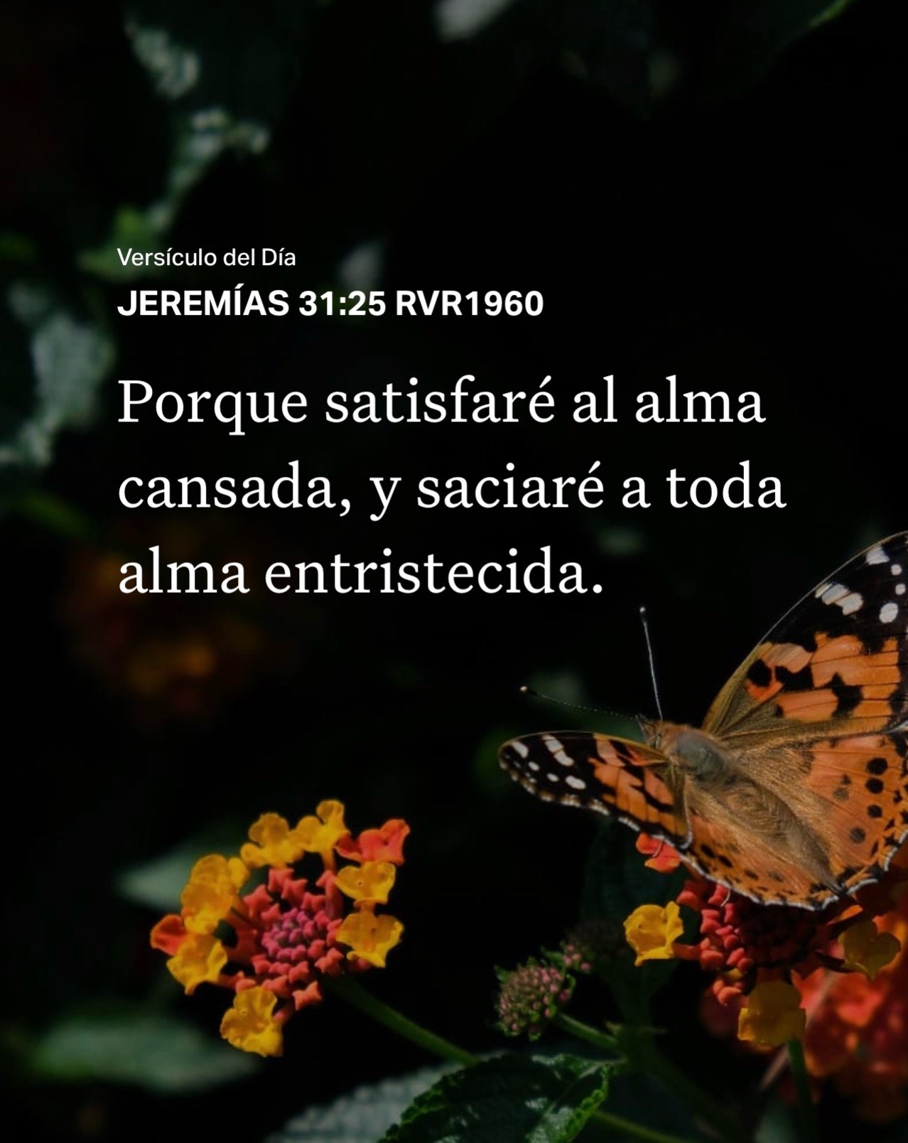 @SoyLaHermanaPaola