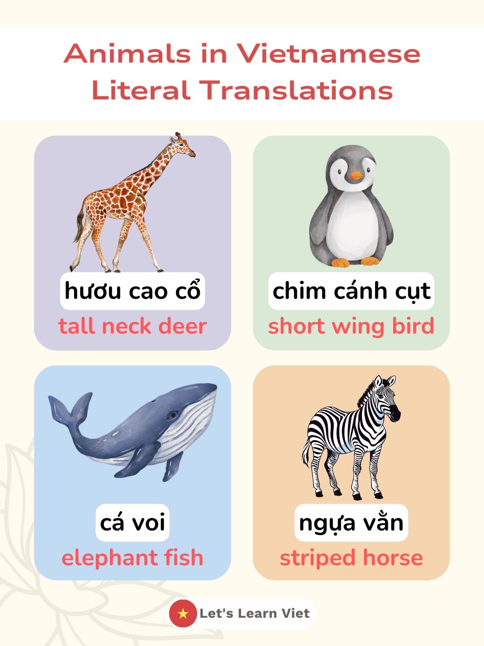 @Lets Learn Viet