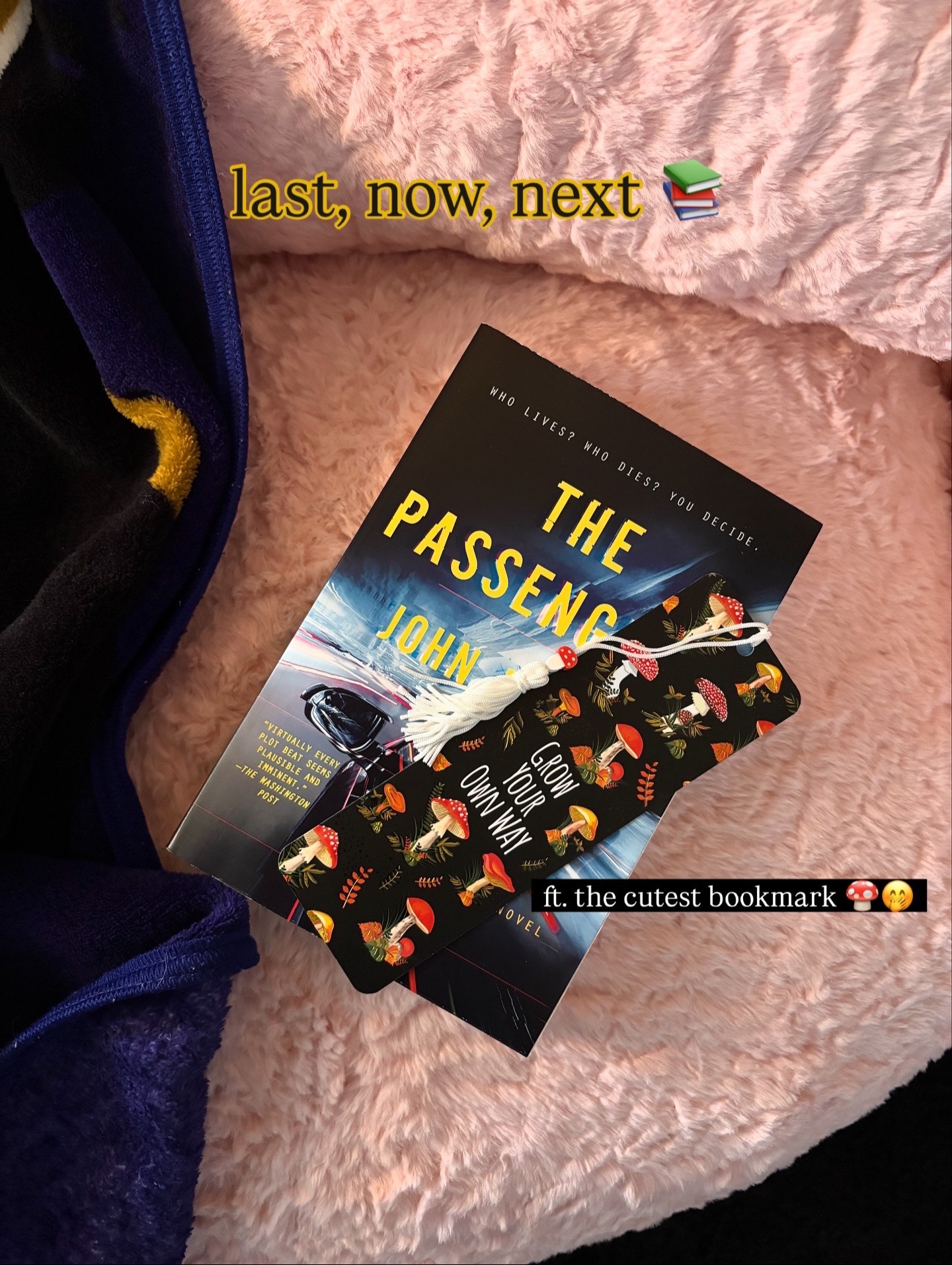 @⋆˙✰ tamiareads ✰˙⋆