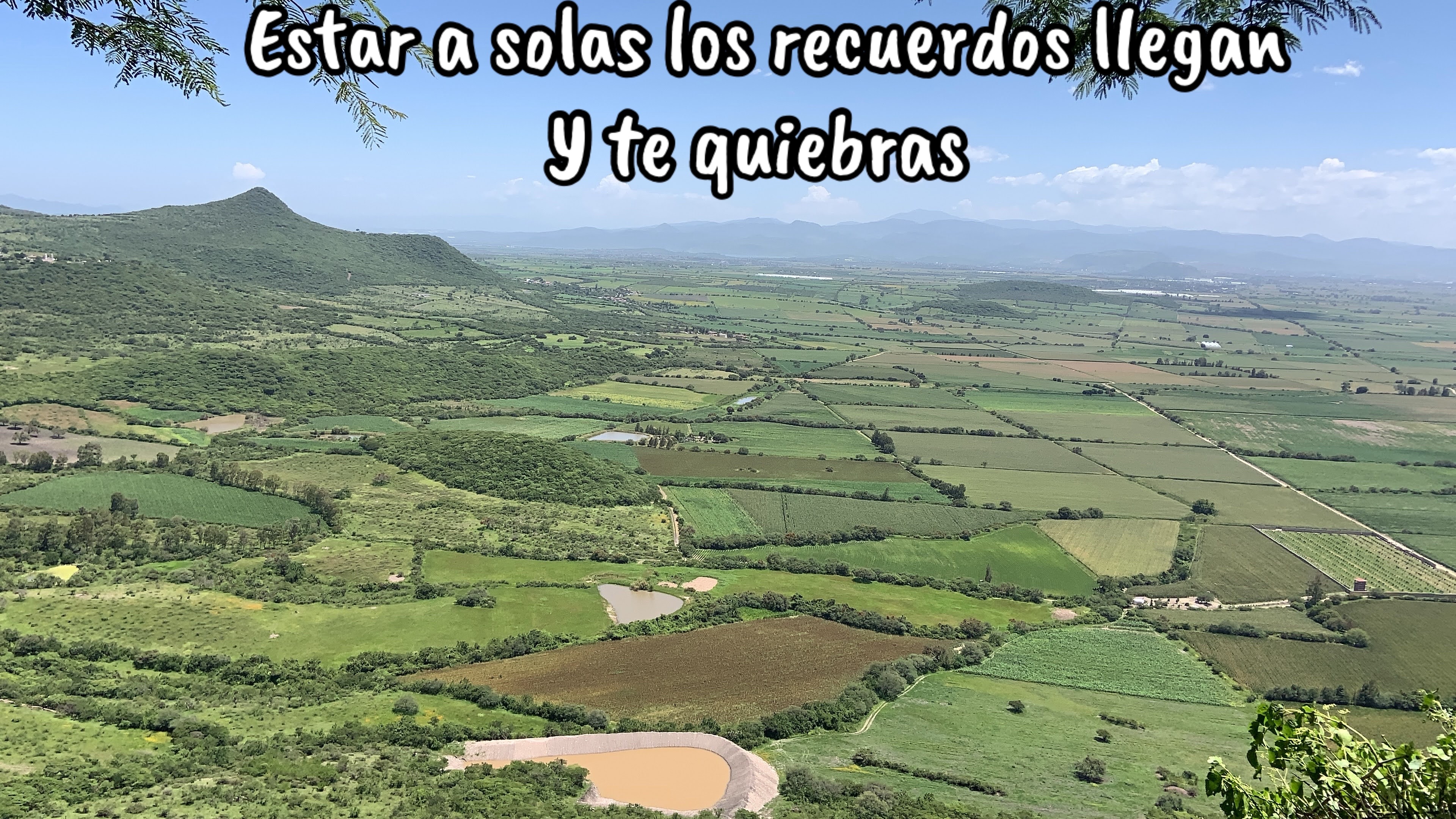 @Antony Saavedra