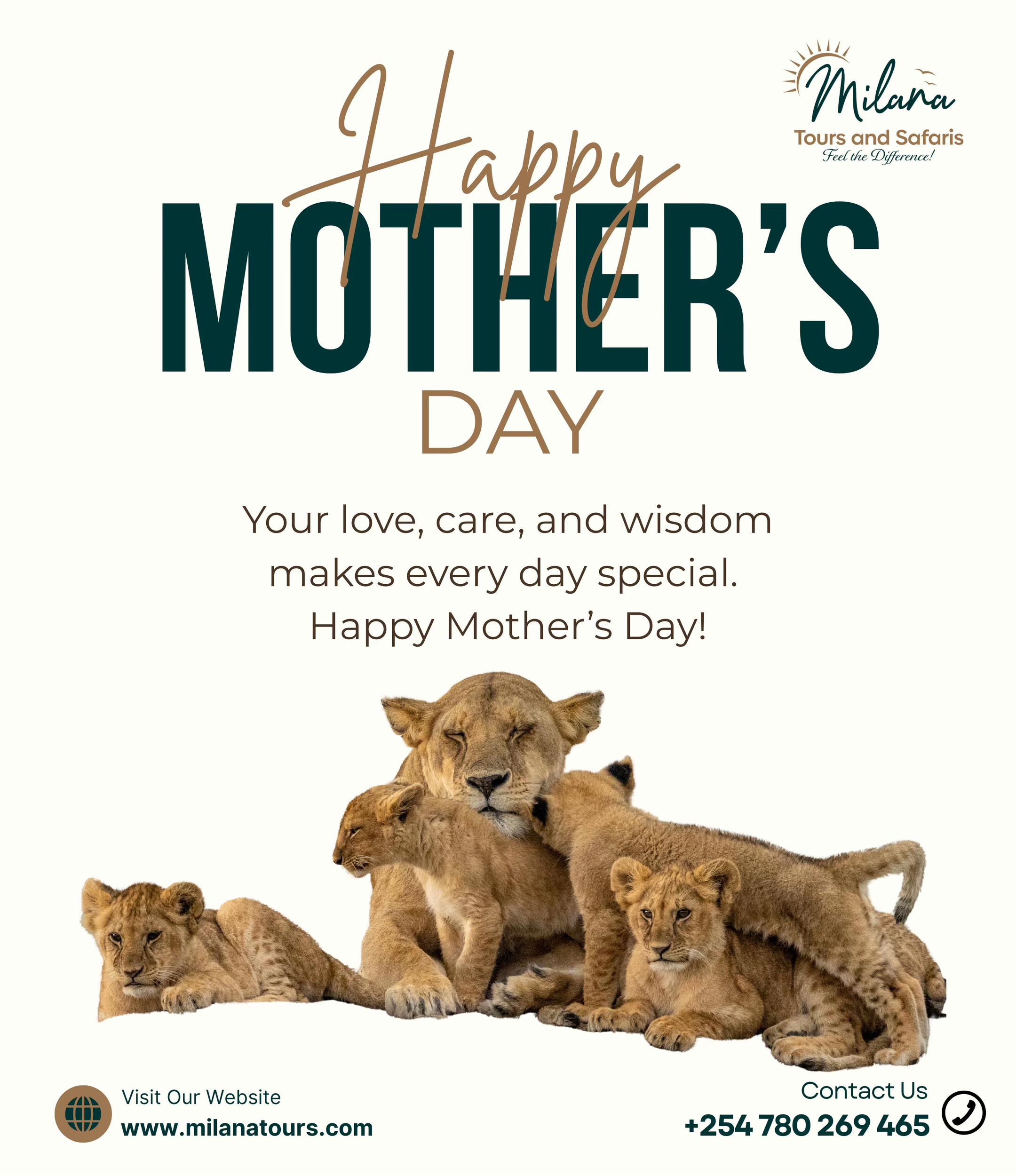 @Milana Tours and Safaris