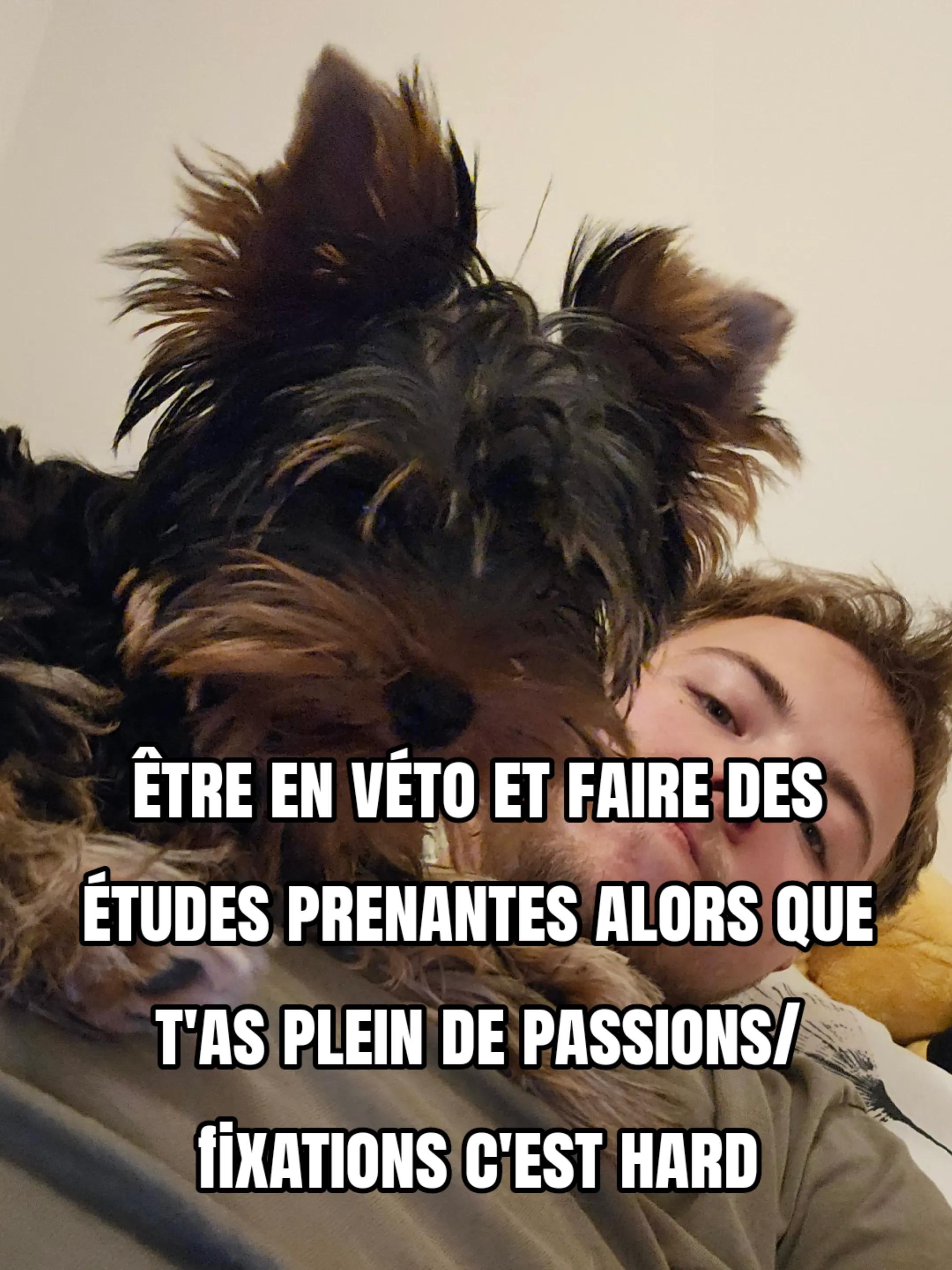 @Ptit Veto 🐶🩺