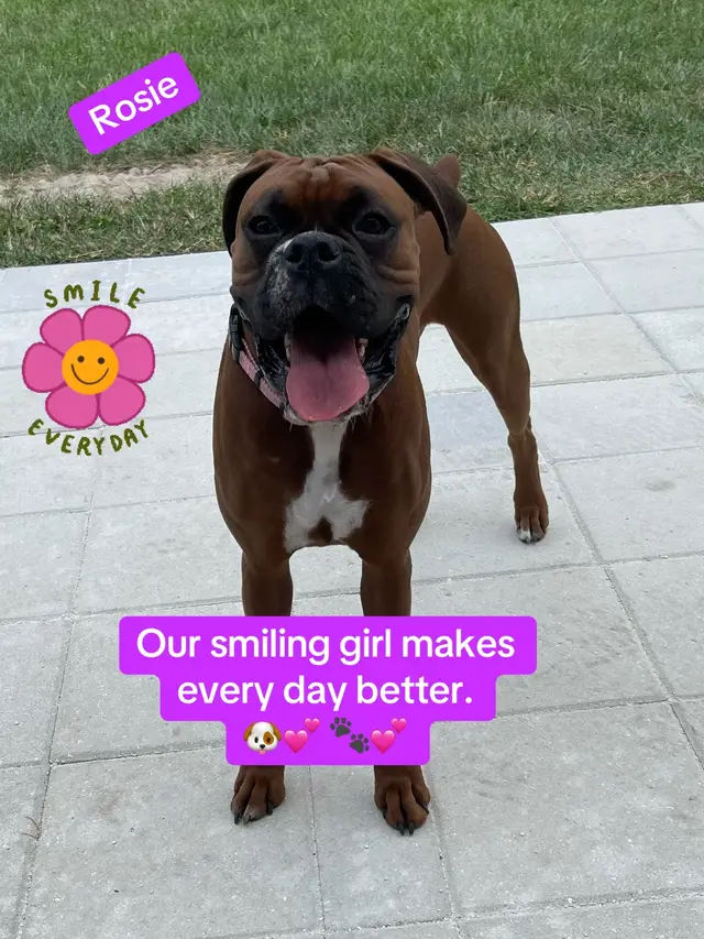 @Cheryl dog mom