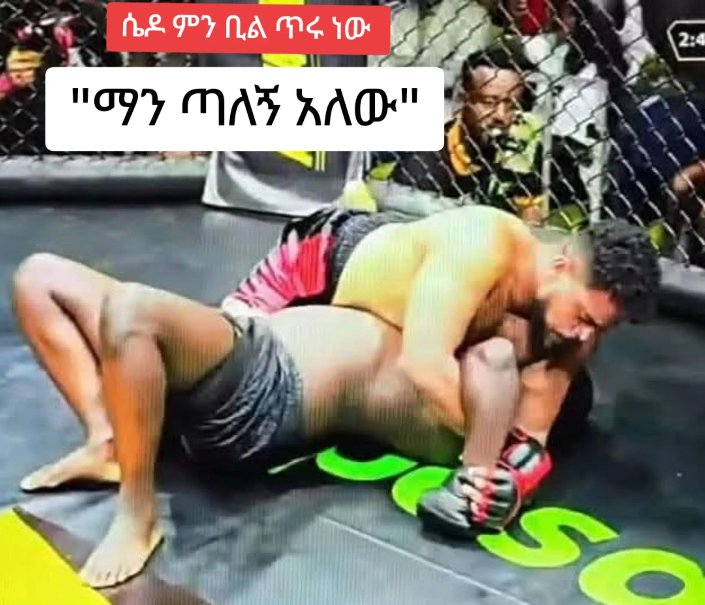 @bini ሐረር