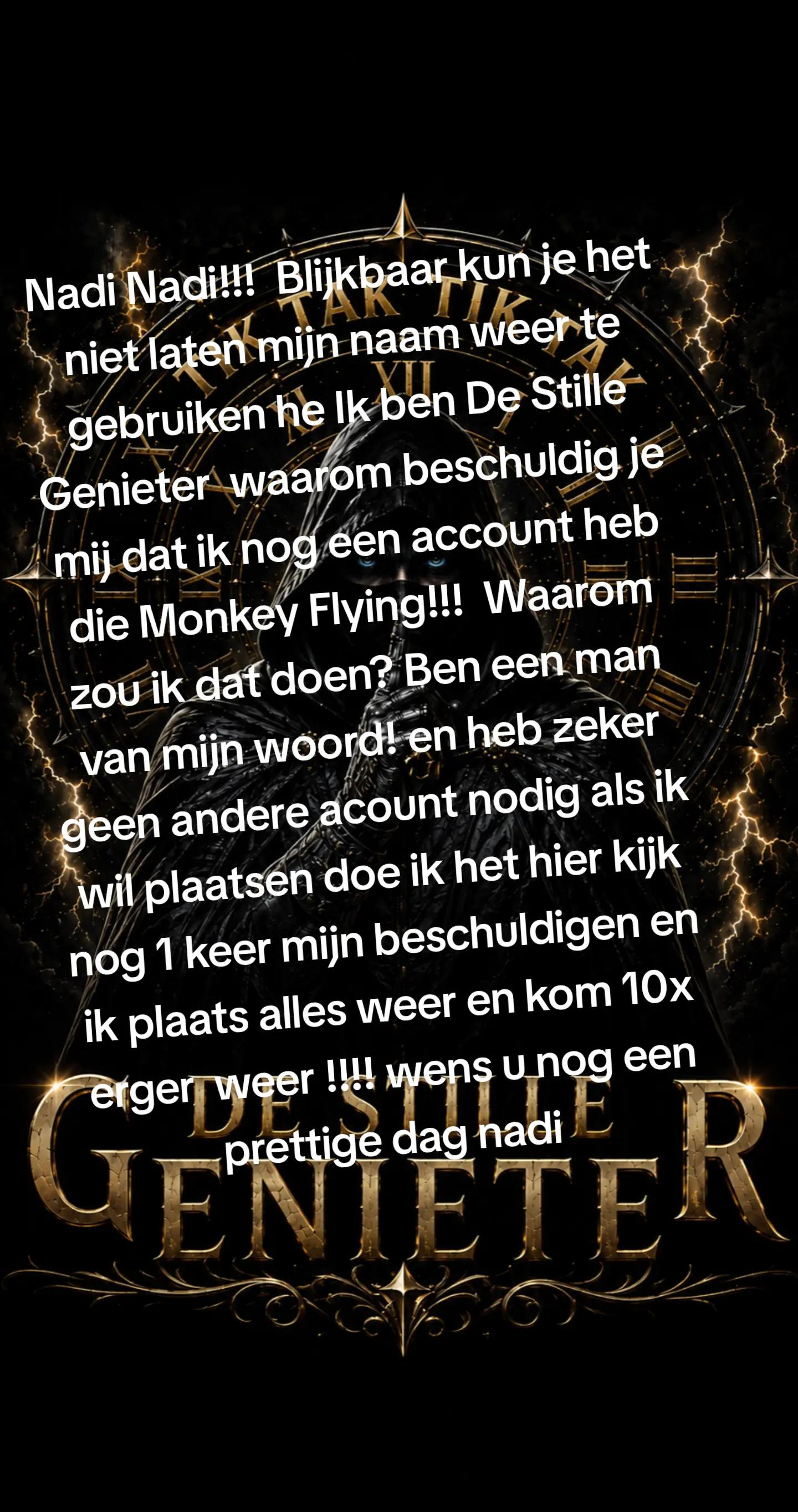 @DE STILLE GENIETER
