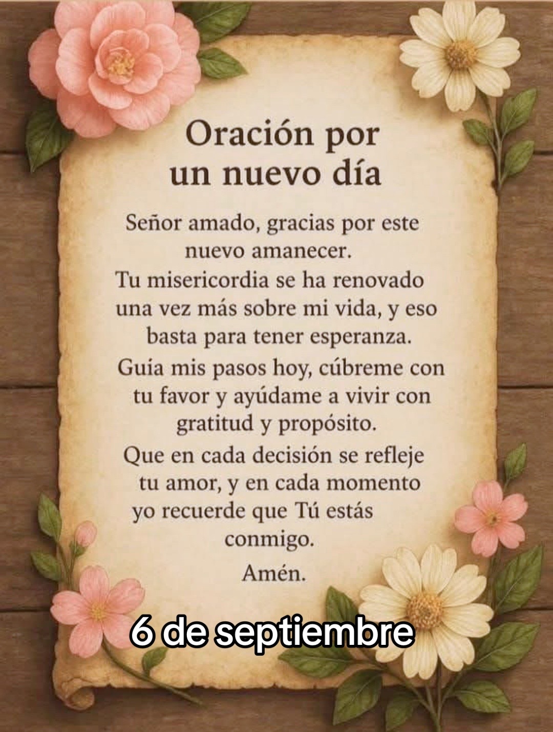 @8luisplaza8
