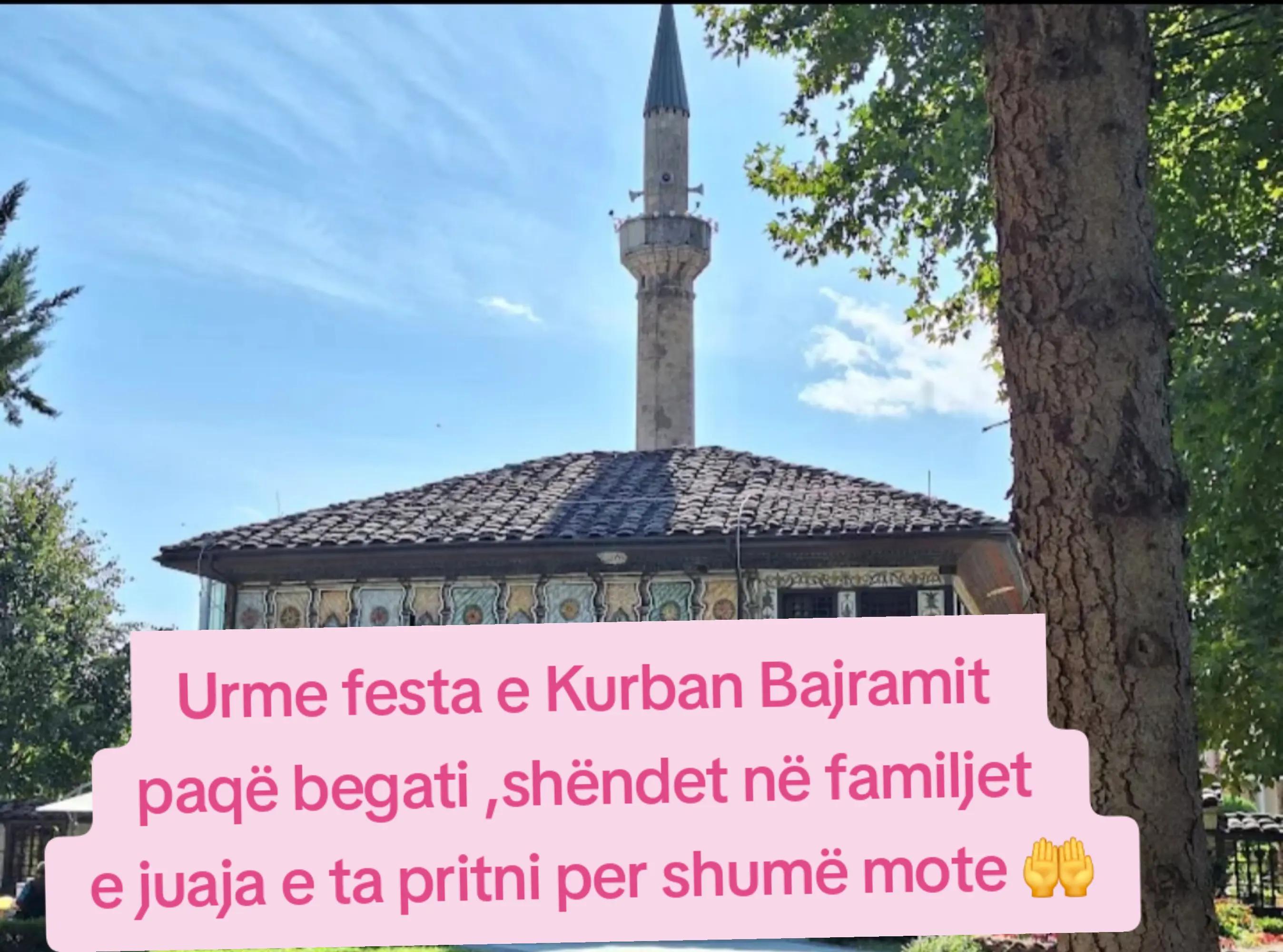 @Rreze Dielli🌻