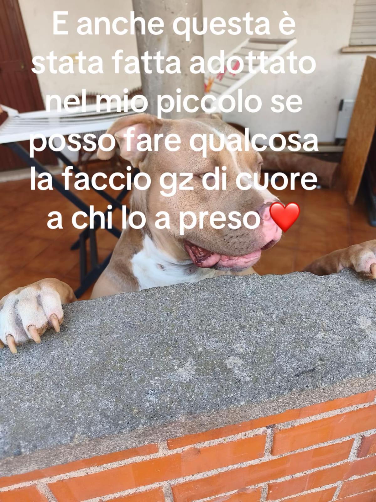 @Thor alessandra Simone