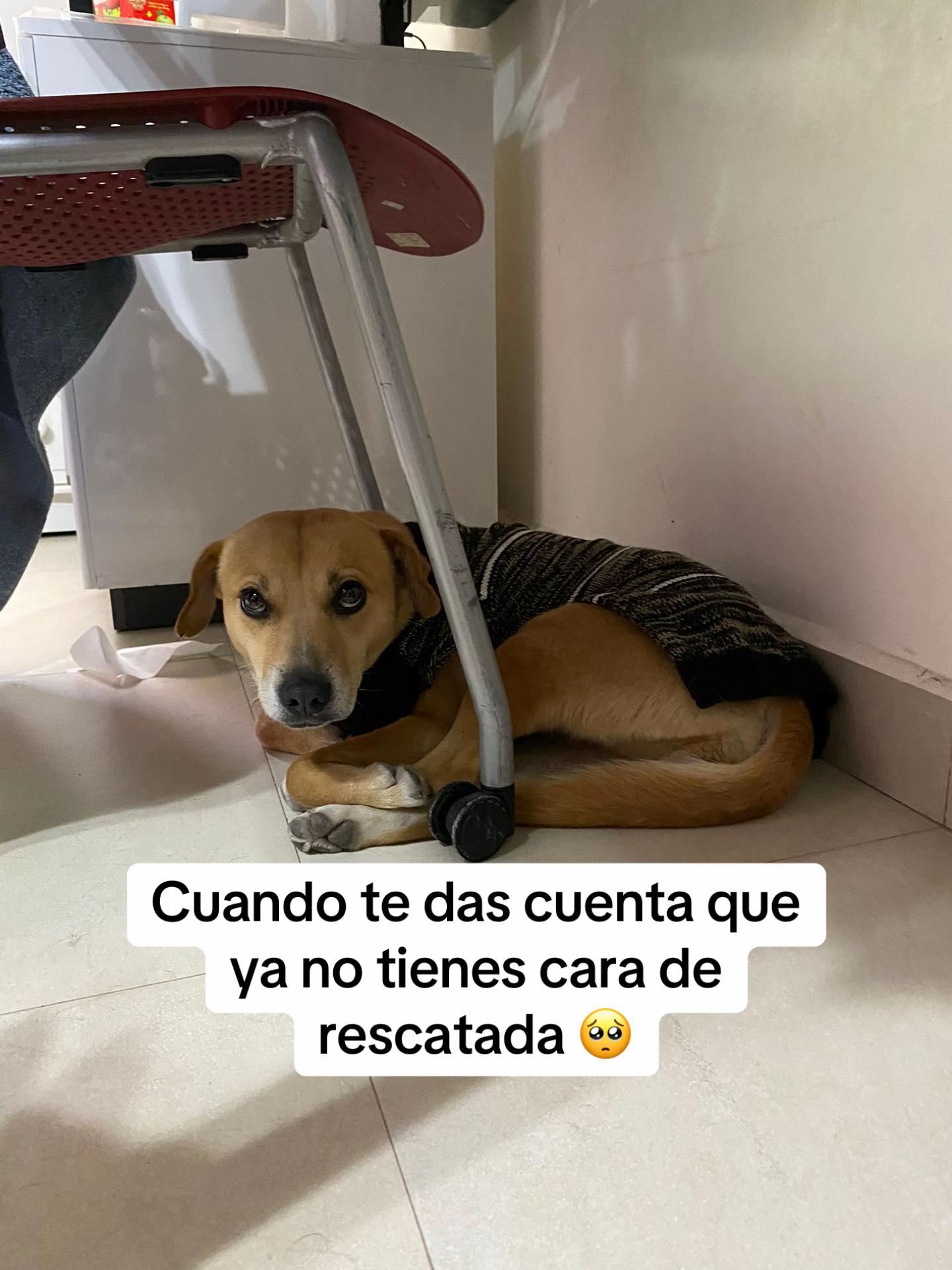@Sa&uacute;l Eduardo Ortega