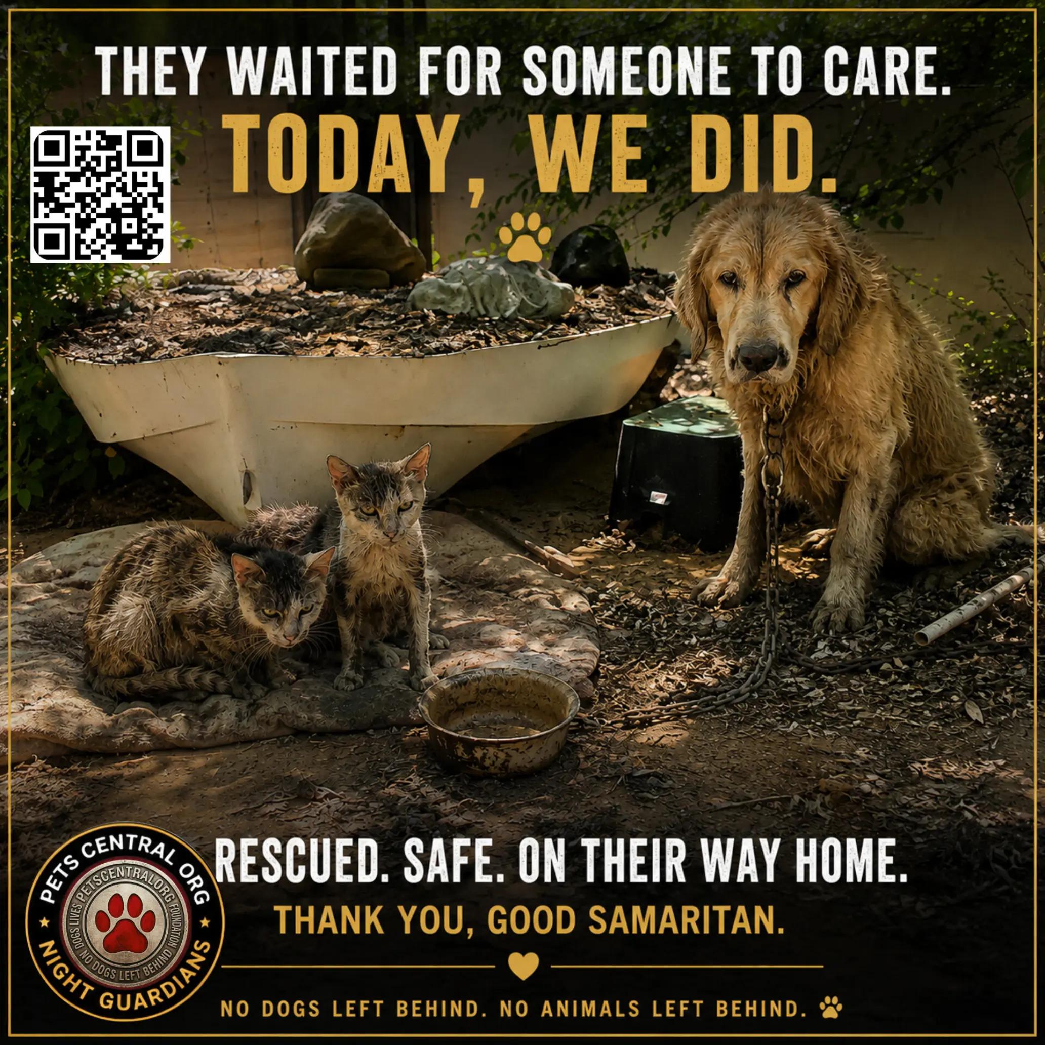 @Petscentralorg DLM Foundation
