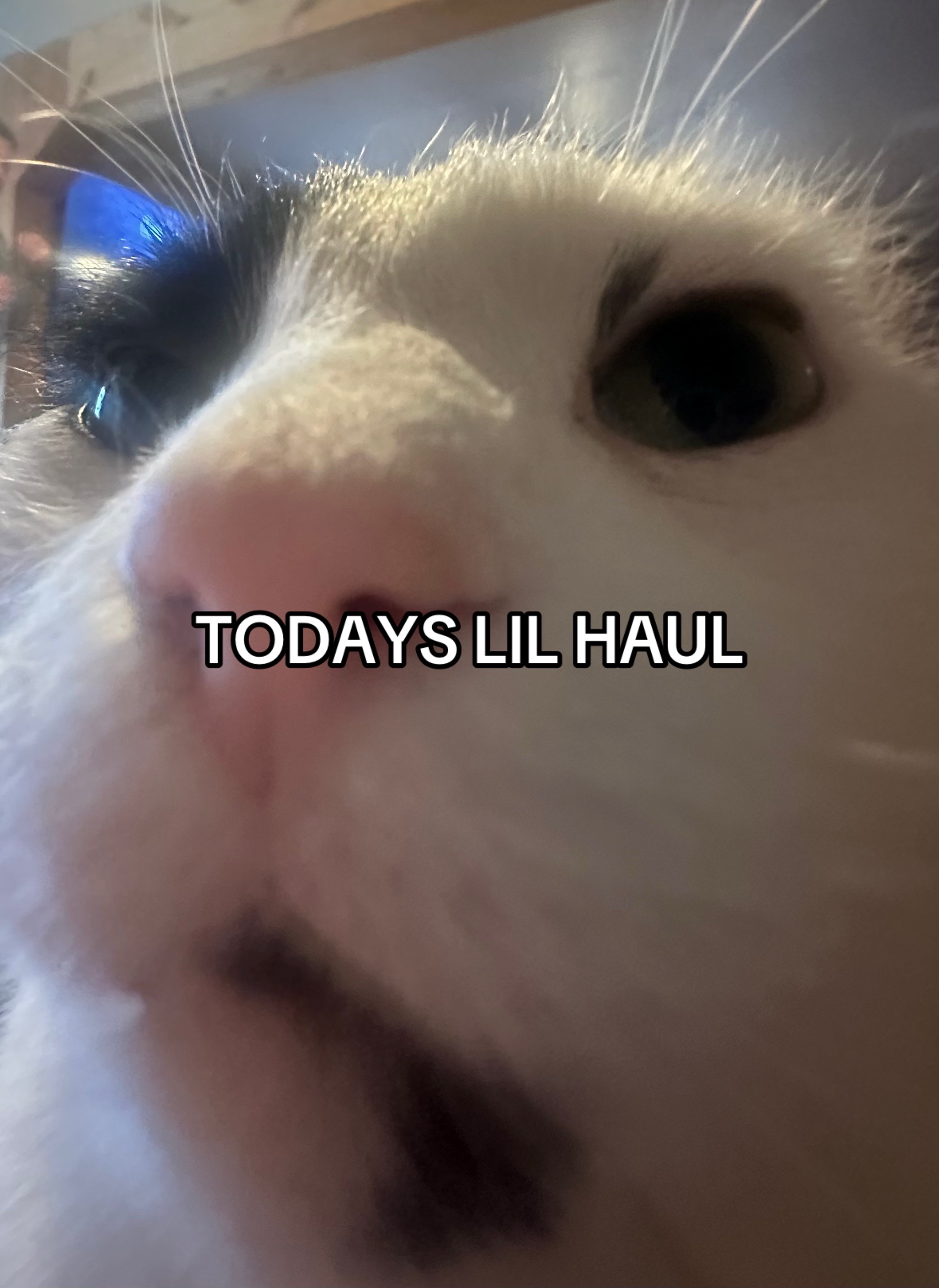 @Domi