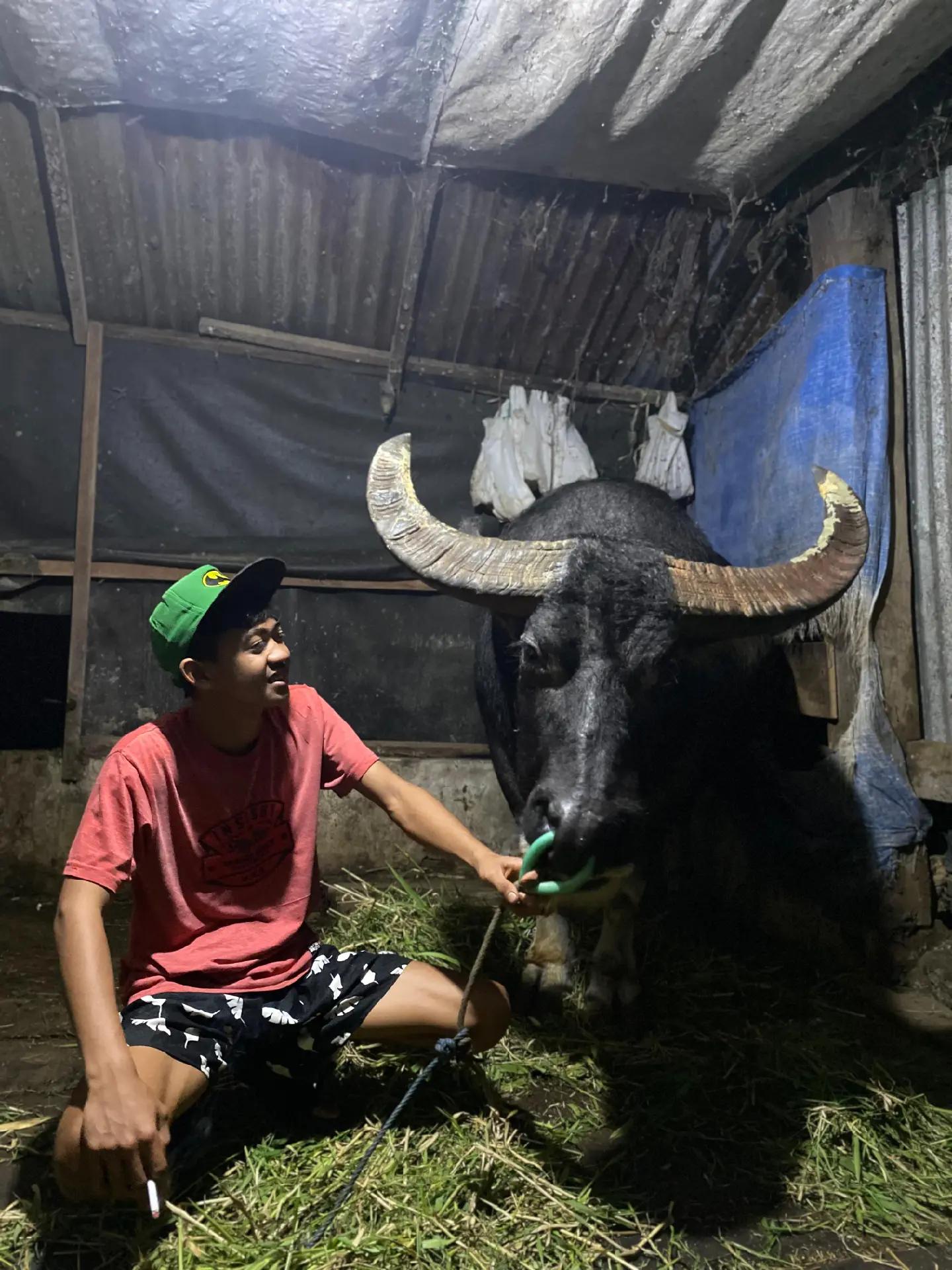 @Pikal_BRIGSAL