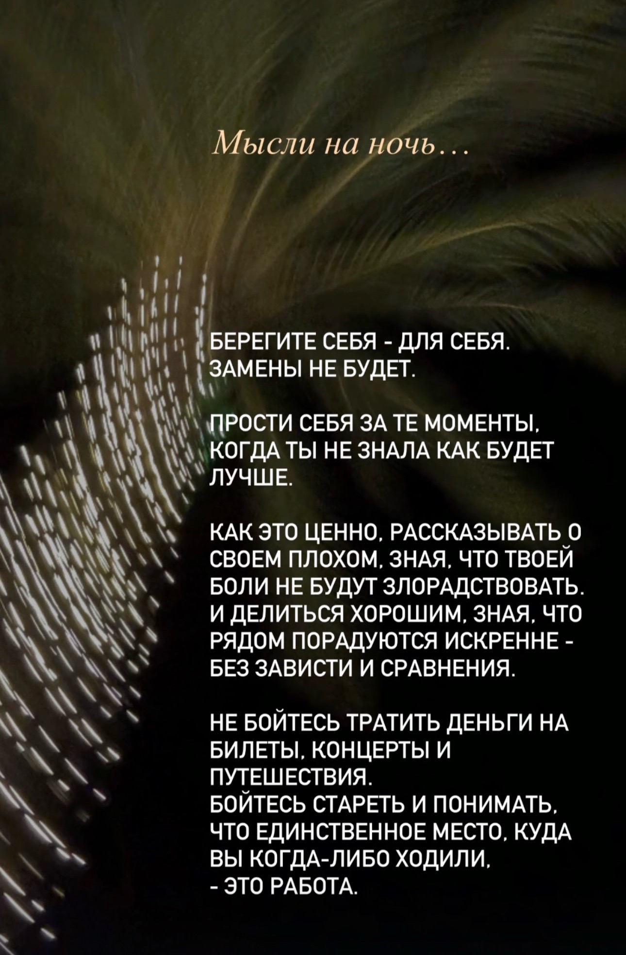@svetlana_konovalov