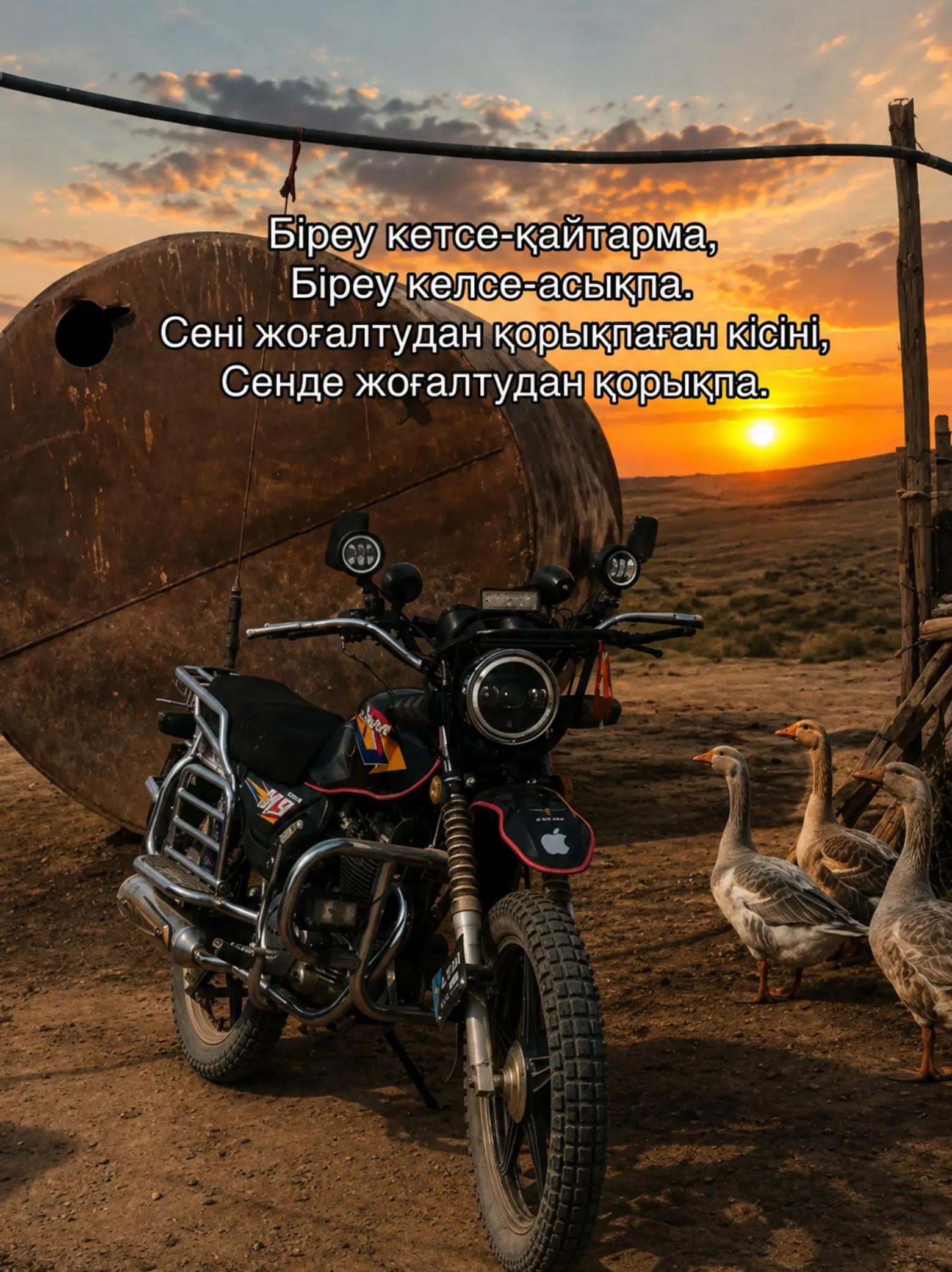 @𝙎𝙝𝙮𝙢_𝙓